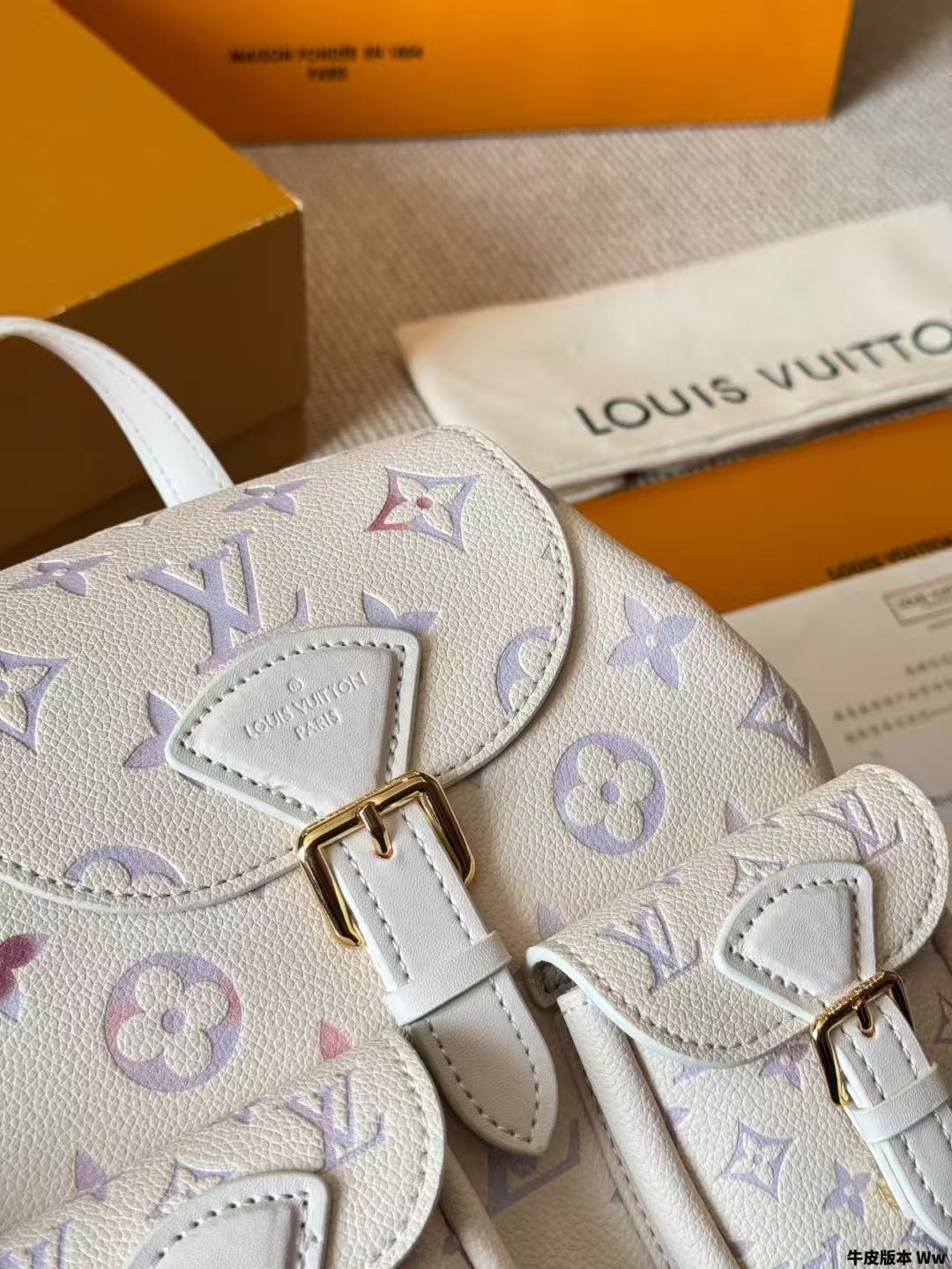 Louis Vuitton Bags lv Backpack