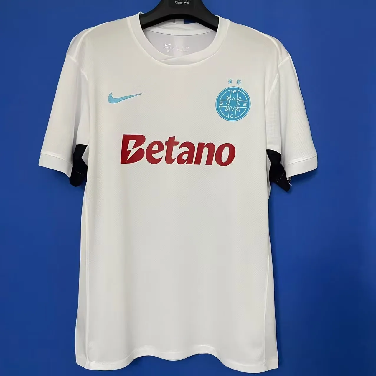 FCSB 25/26 Third S-XXL
