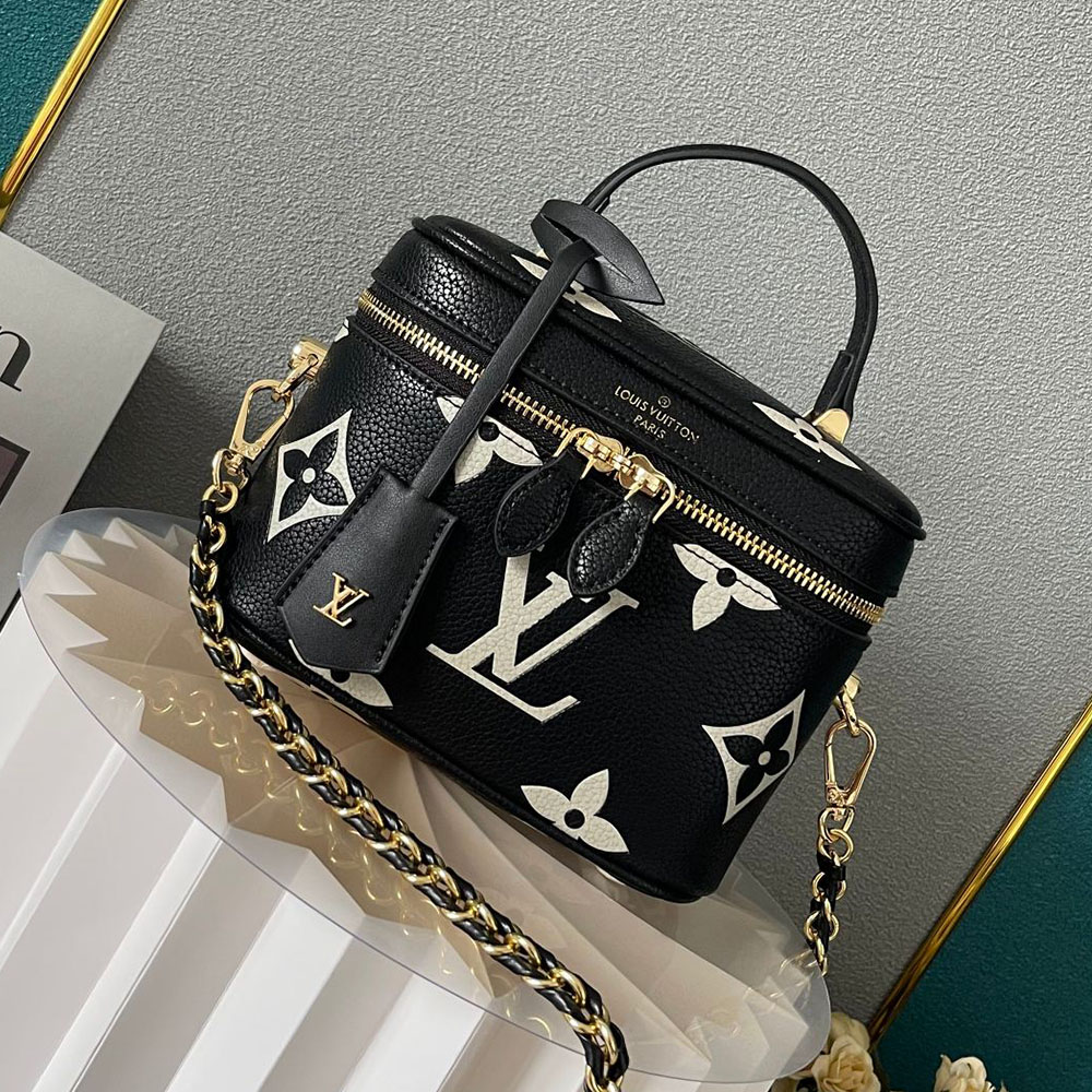 Louis Vuitton LV Vanity Bag PM