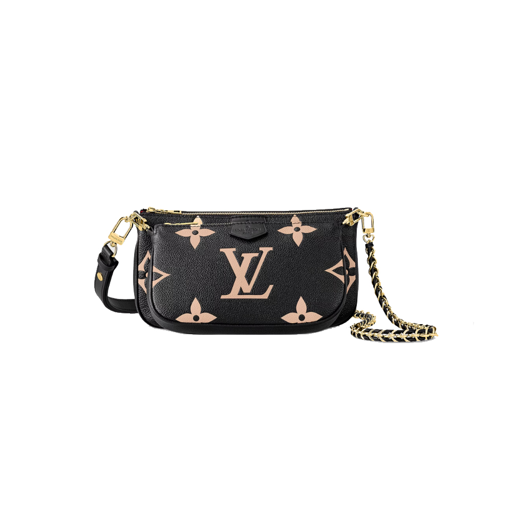 Louis Vuitton LV Multi Pochette Accessoires M45777