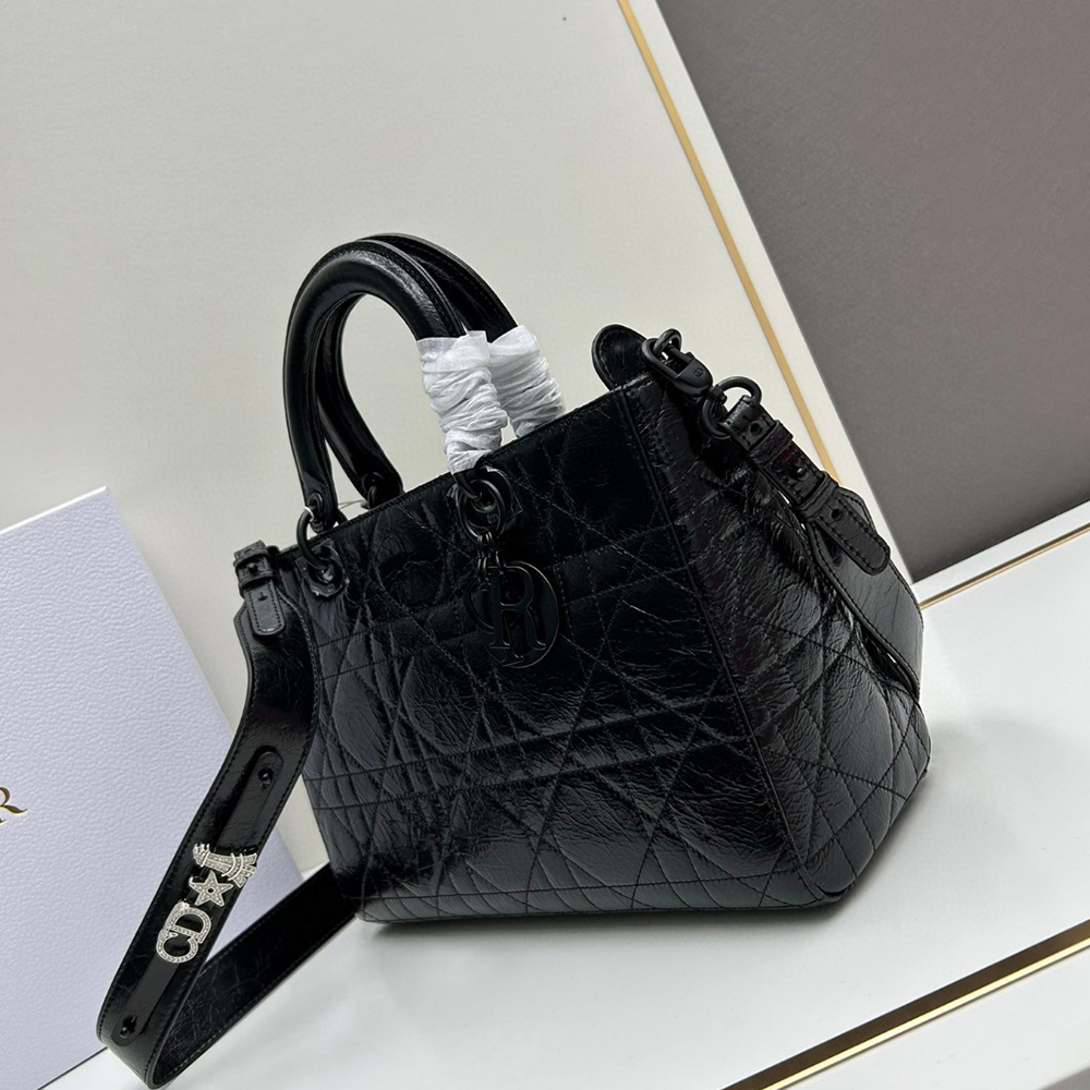 Dior Lady D-Sire Crossbody bags