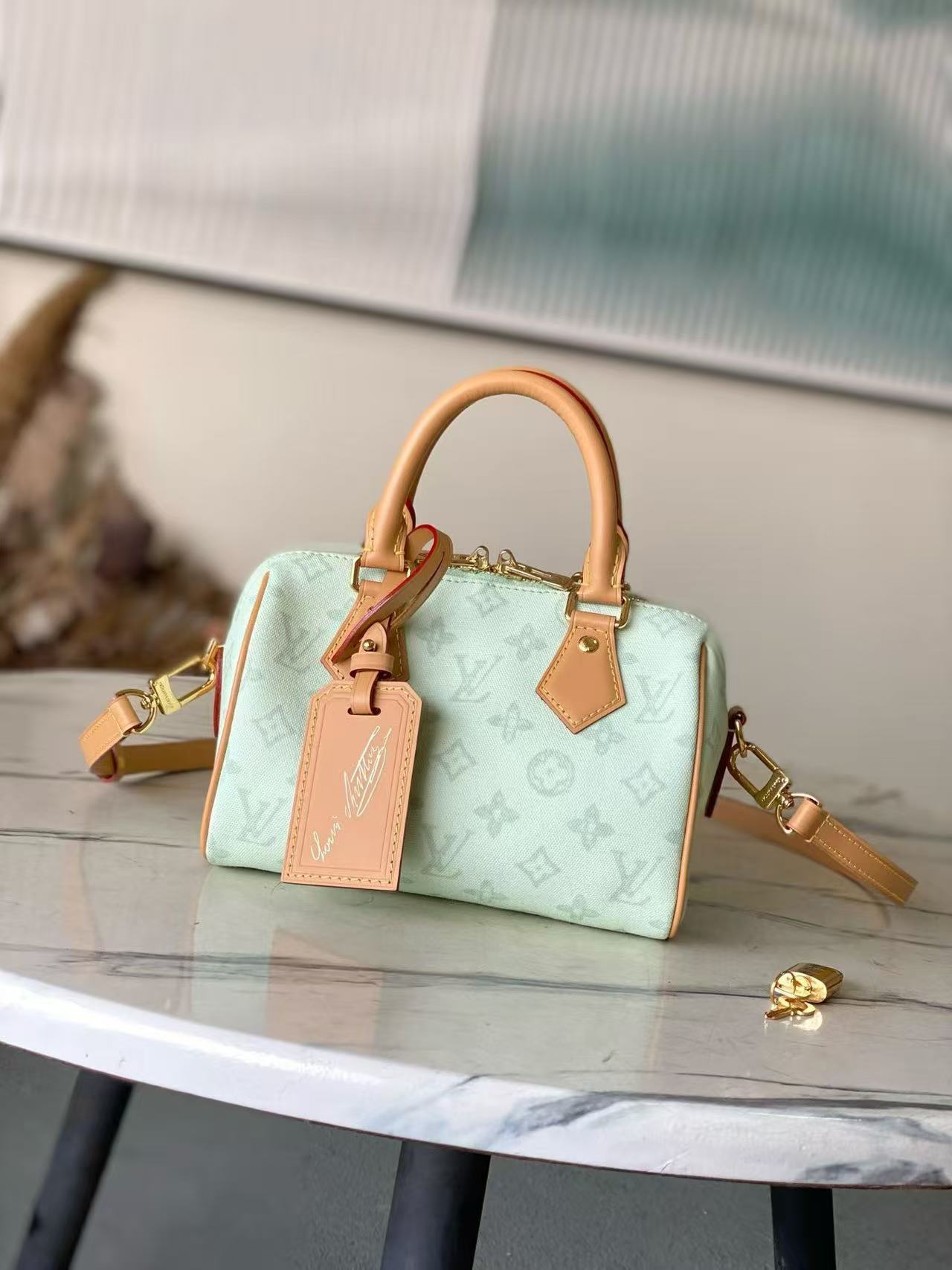 Louis Vuitton LV SPEEDY BANDOULIÈRE 20 Bags