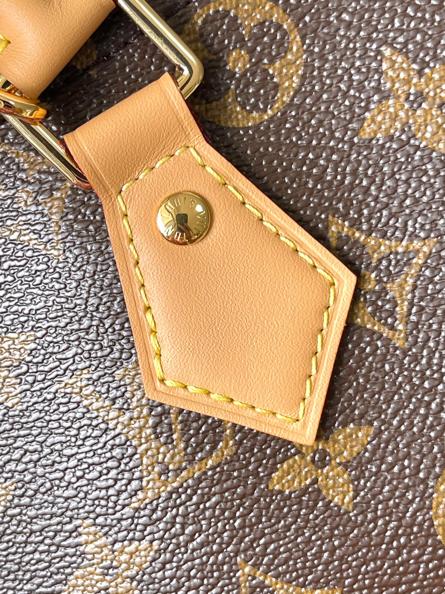 Louis Vuitton Paris A Vlo Speedy Soft 30 handbag collection