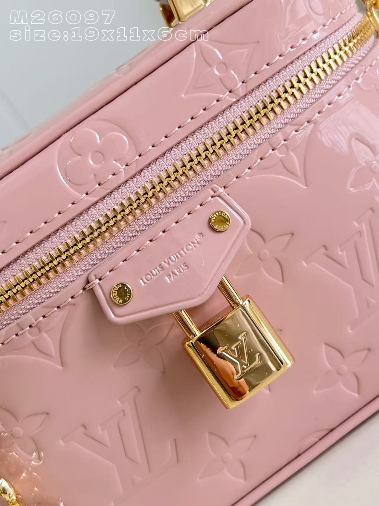 Louis Vuitton LV Vanity Chain Pouch handbag