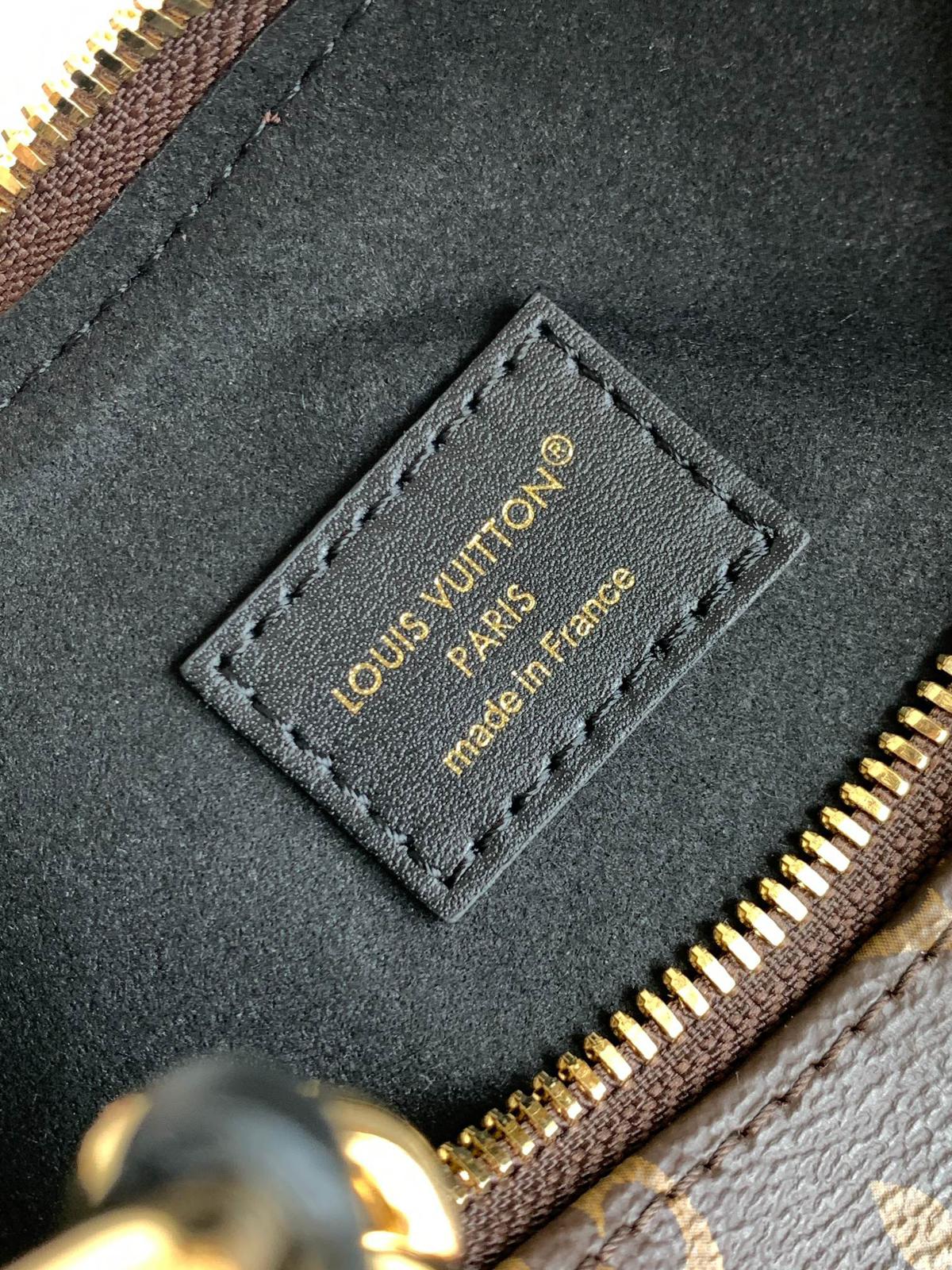 Louis Vuitton LV classic printed hobo bag