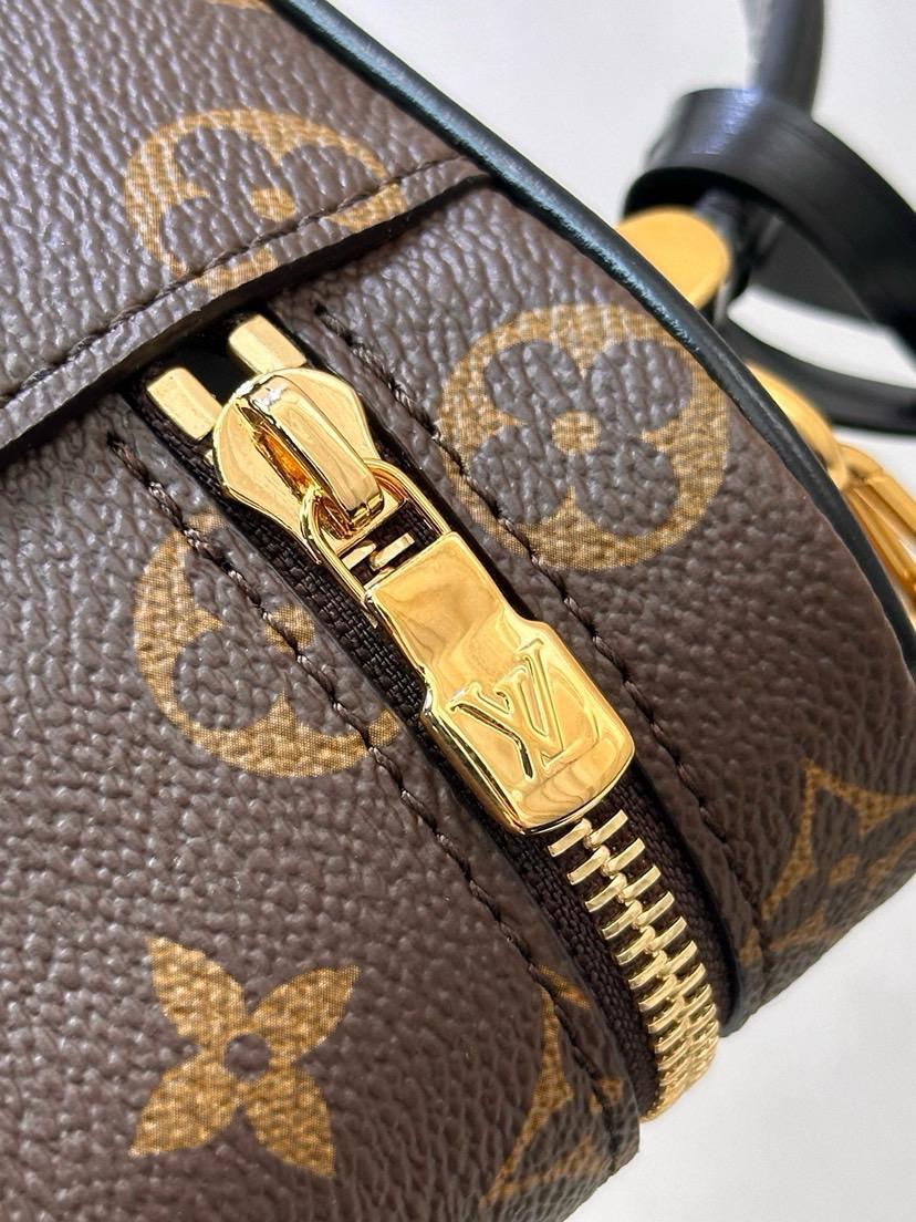 Louis Vuitton LV Vanity Monogram Reverse bag