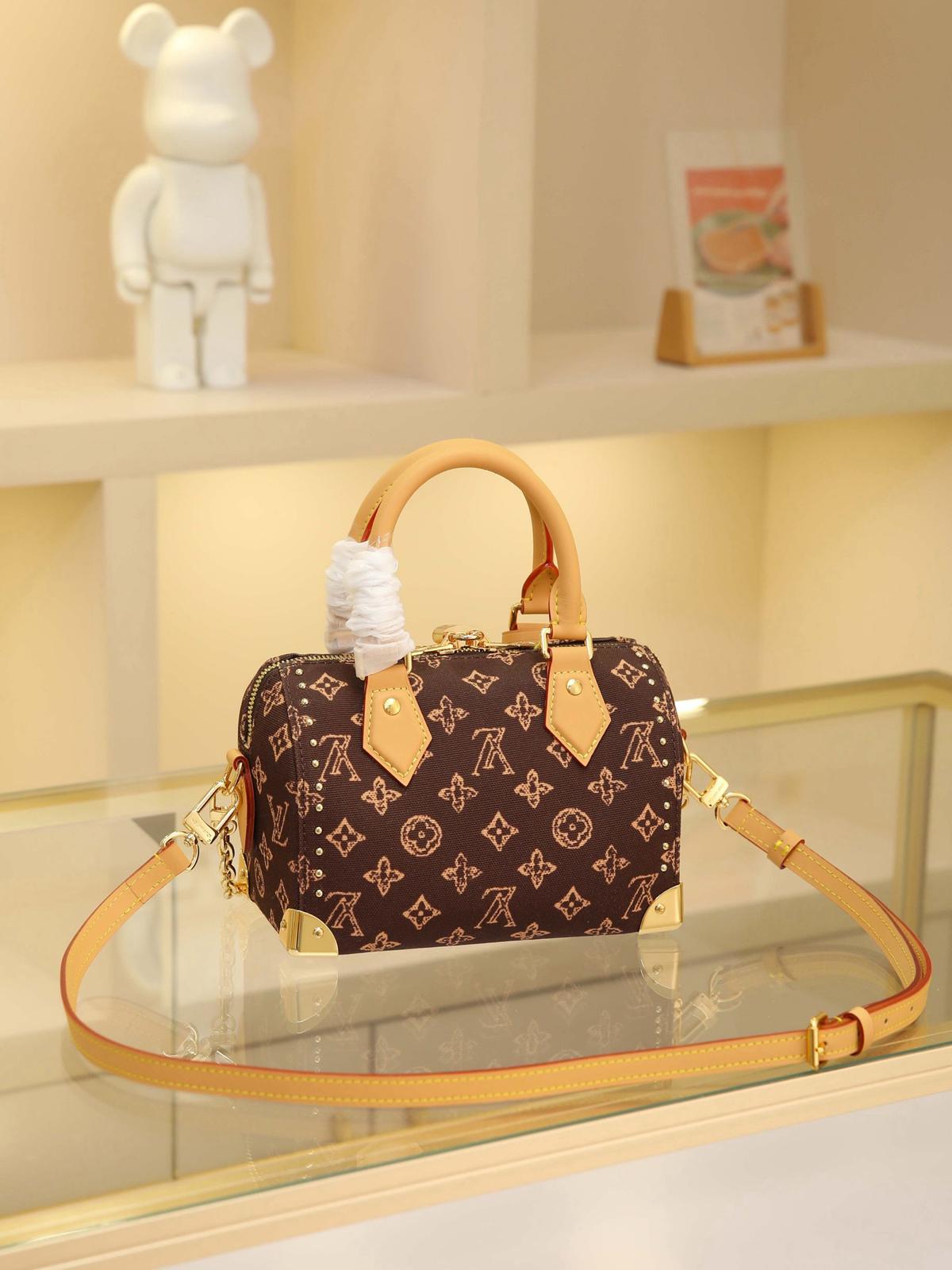 Louis Vuitton LV speedy 20 handbag