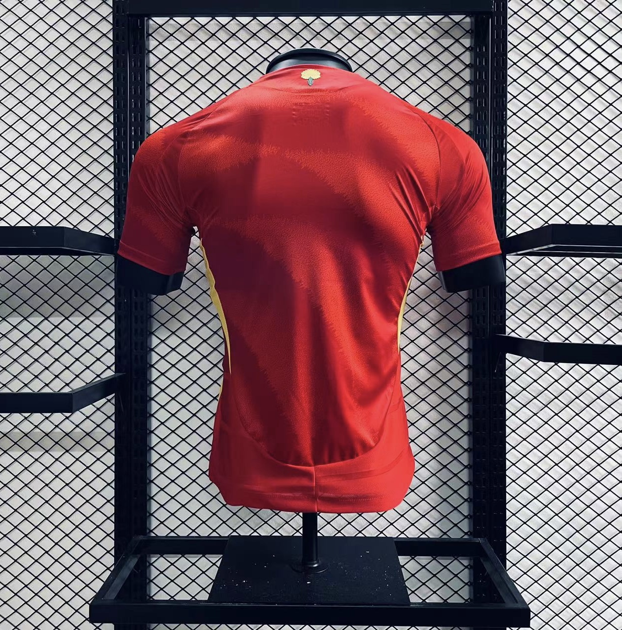 Player Version Camsia Spain 24/25 Home Red