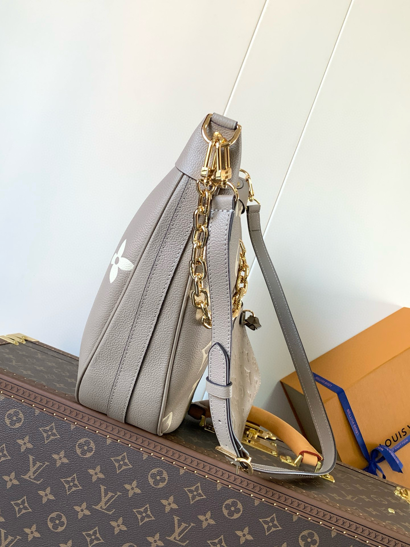 M46738 LV Loop Hobo Bag