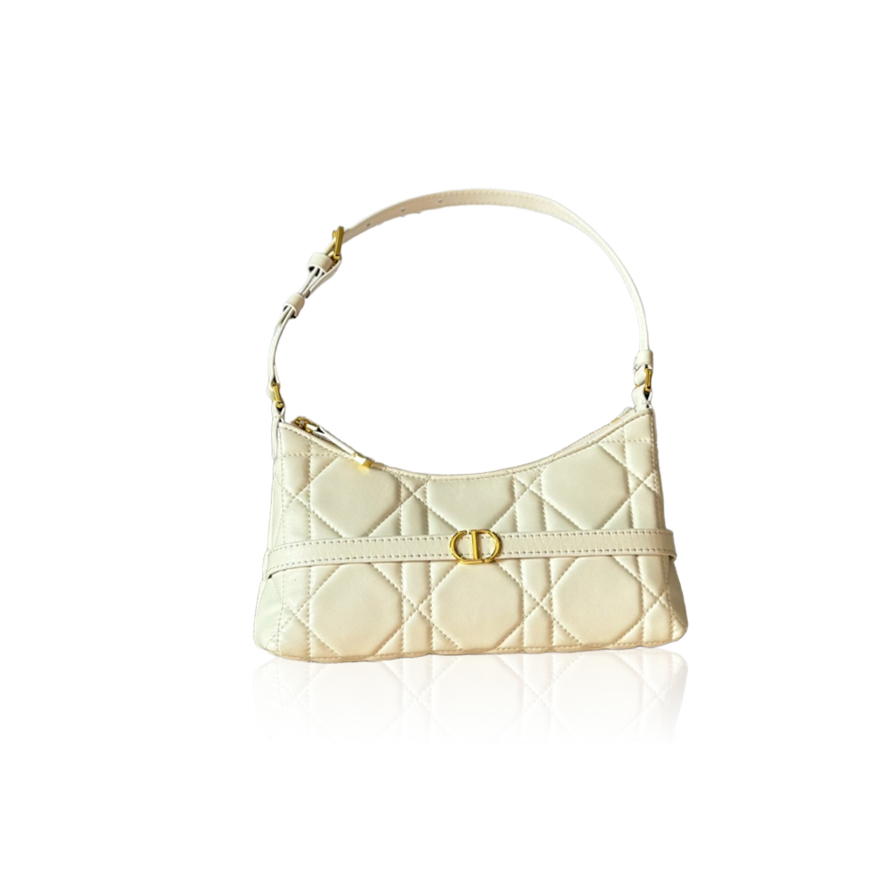 Dior latest armpit dumpling bag