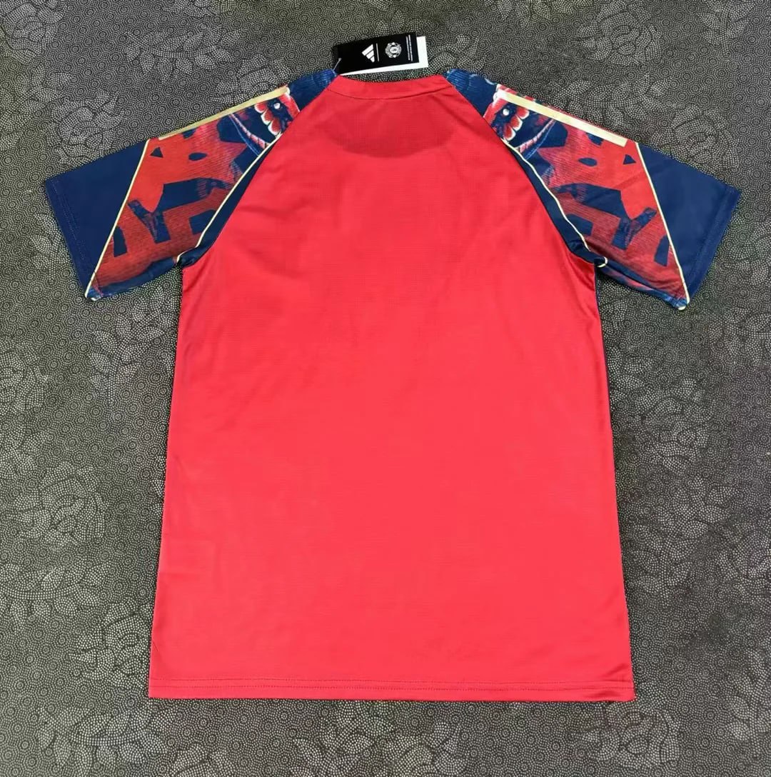 Manchester United Special Edition Man Jersey 25/26