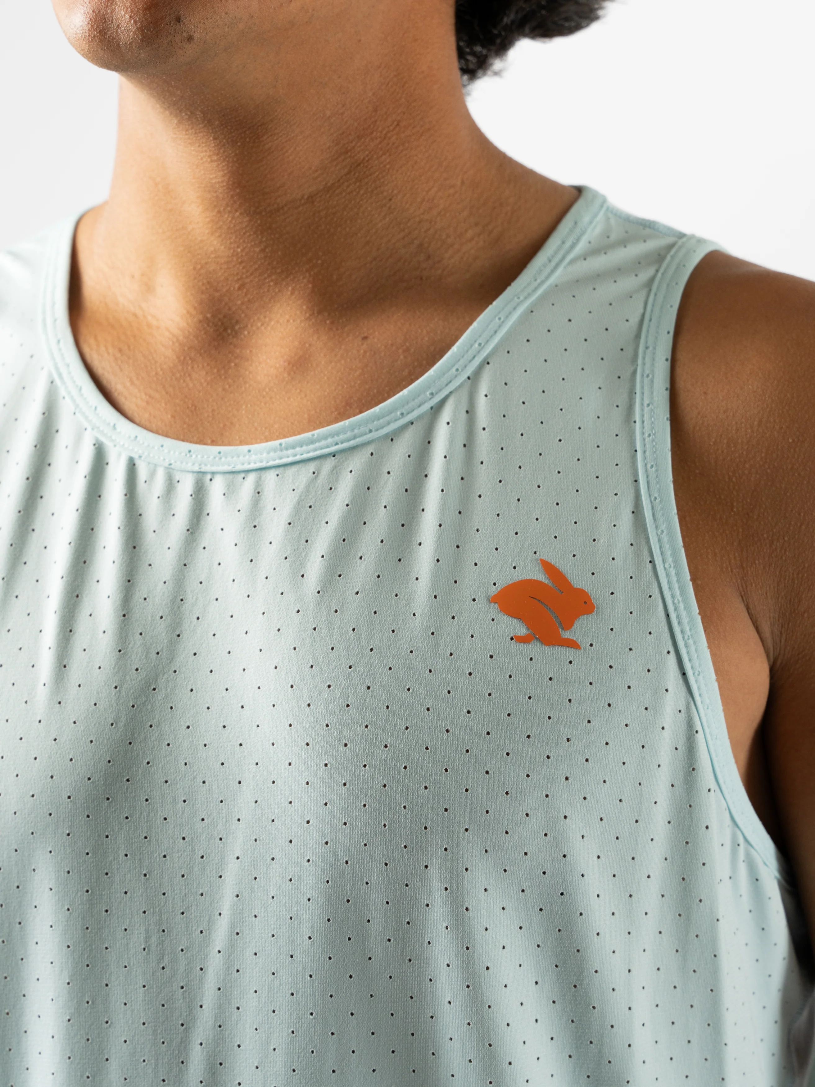 Ice Perf Tank