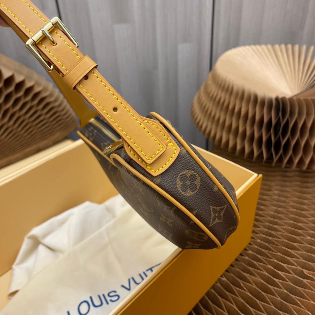 Louis Vuitton LV Classic printed pea bag