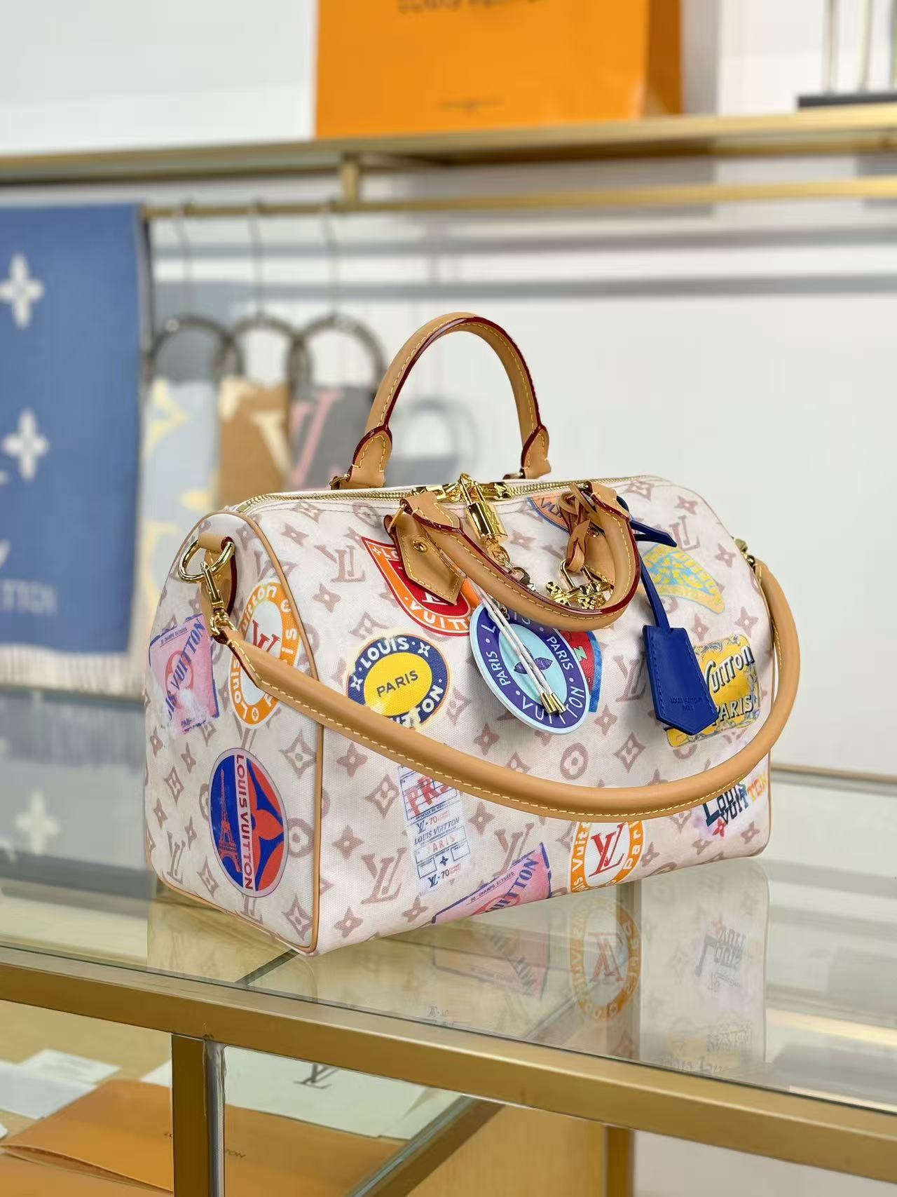 Louis Vuitton LV Sneedy SOFT 30 handbag
