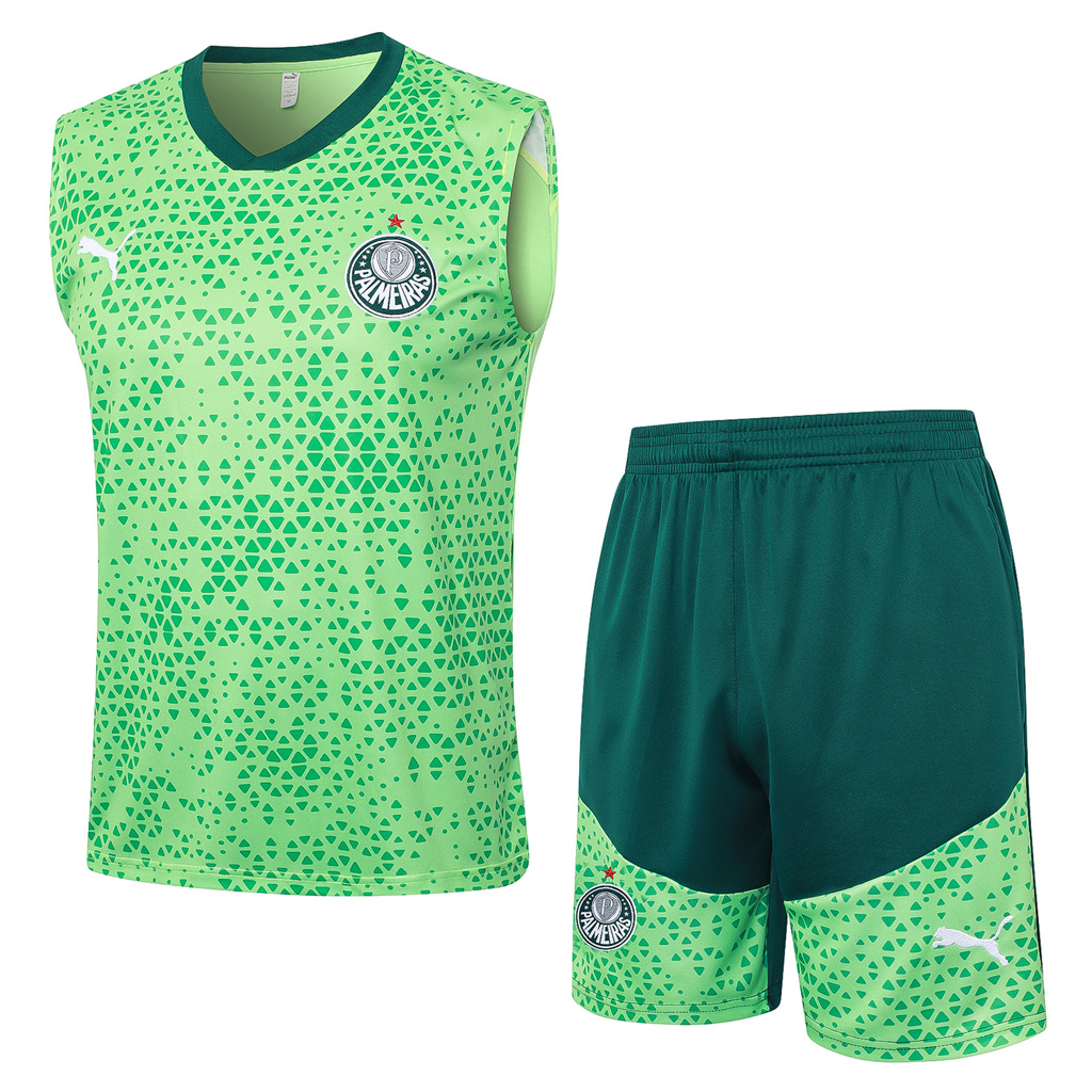 Palmeiras Training Jersey 23/24 | Soc Jersey - Premium Football Jersey