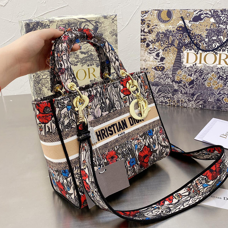 Dior The LADY D-LITE Bag  AAA Quality