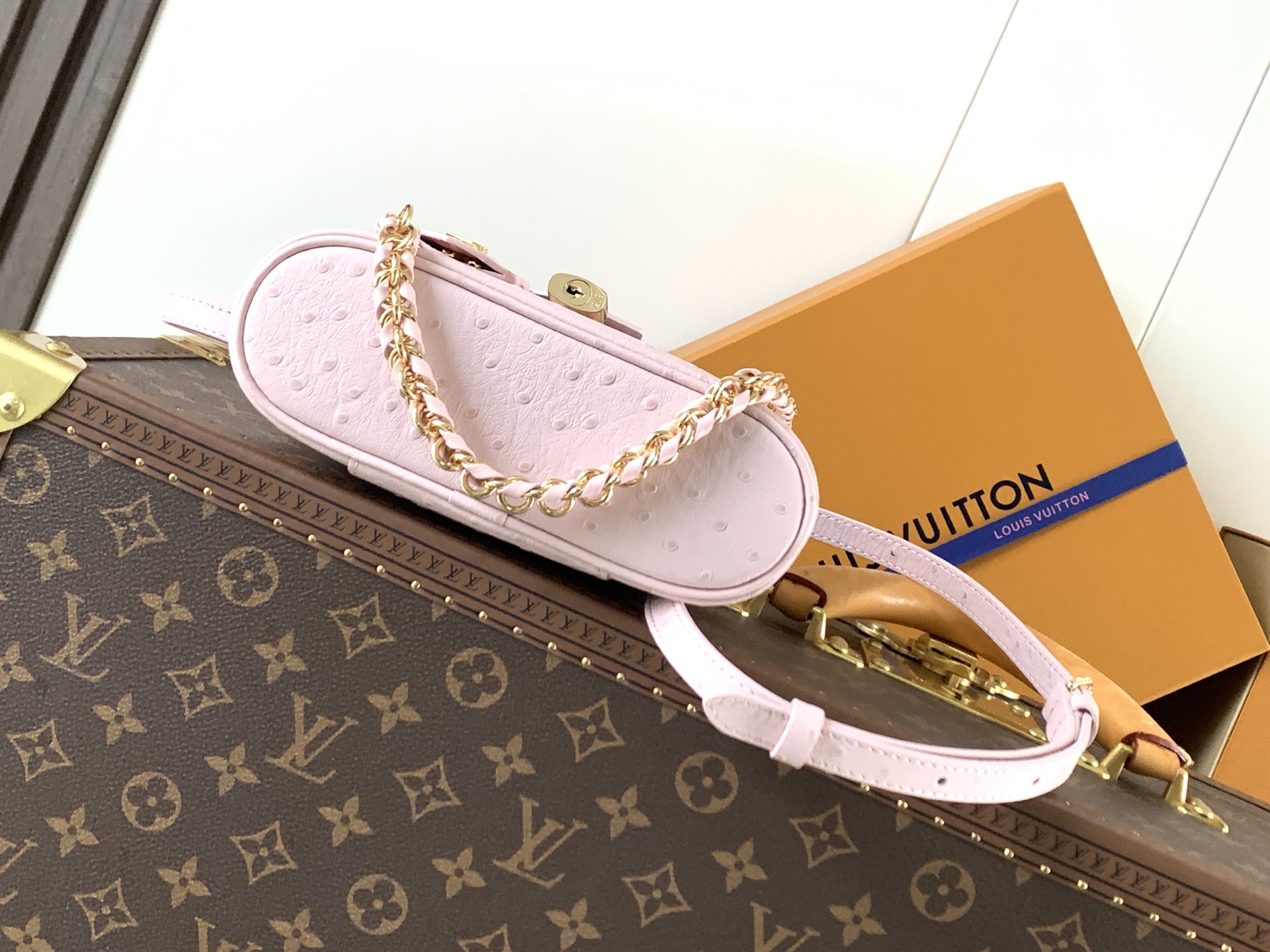 Louis Vuitton ostrich patterned Vanity Chain Pouch handbag