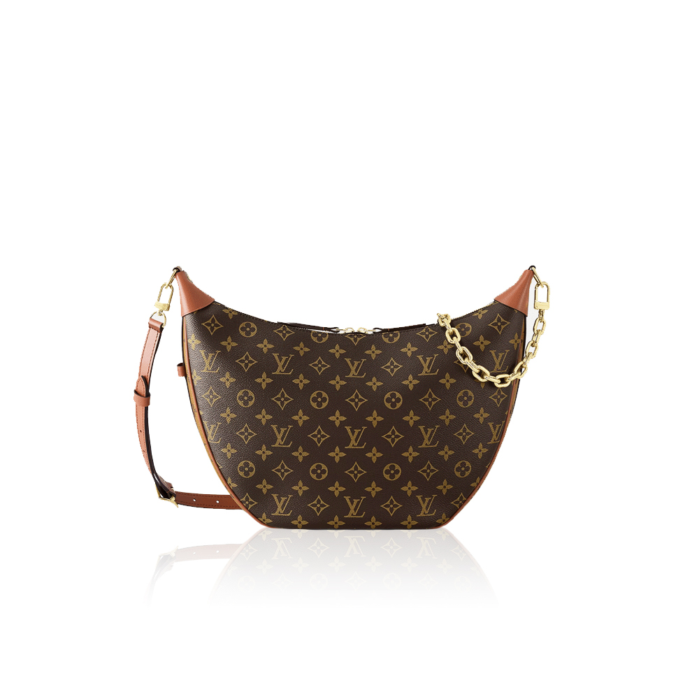 Louis Vuitton LV  Loop Hobo