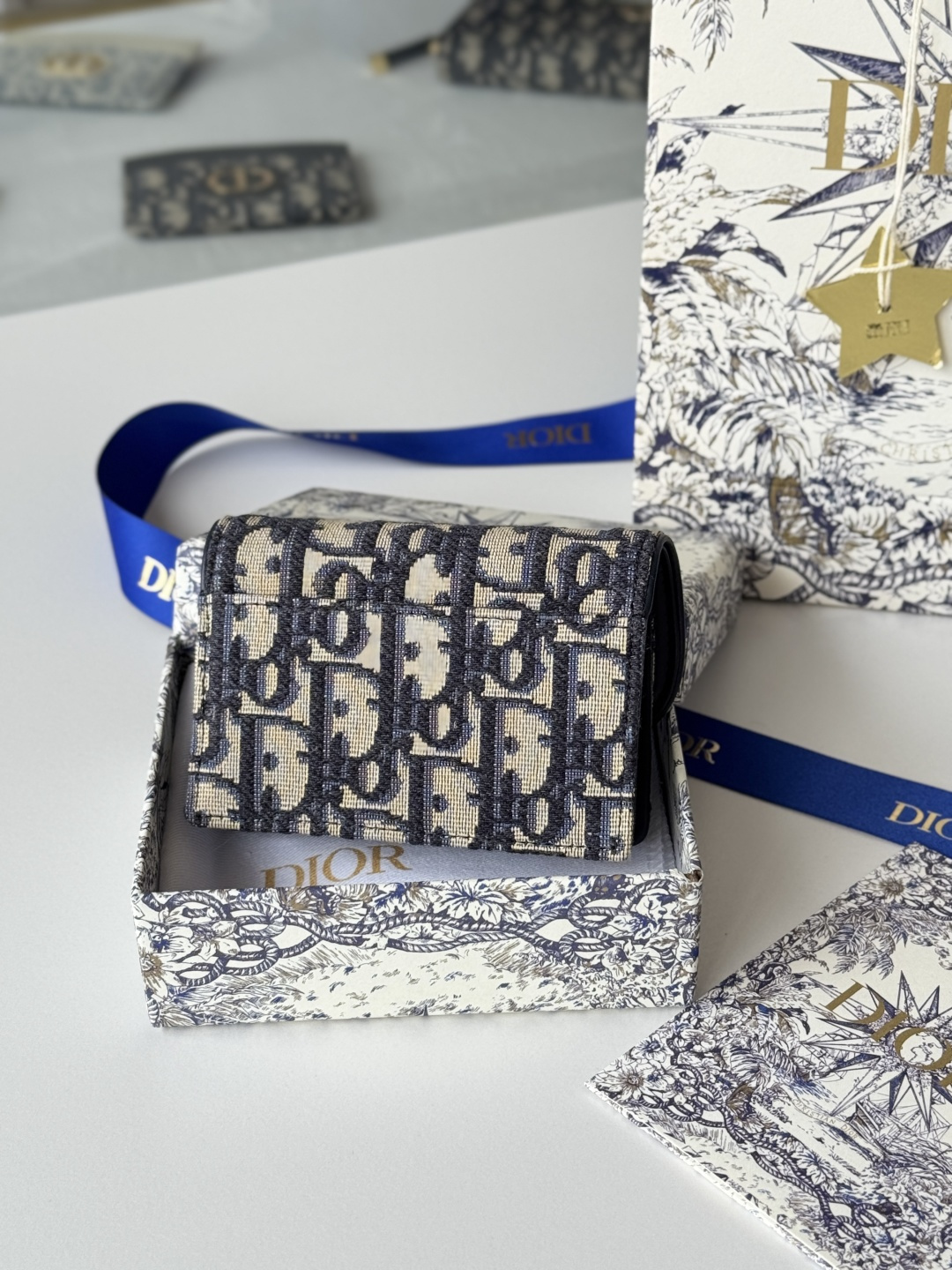 Dior Saddle Card Case