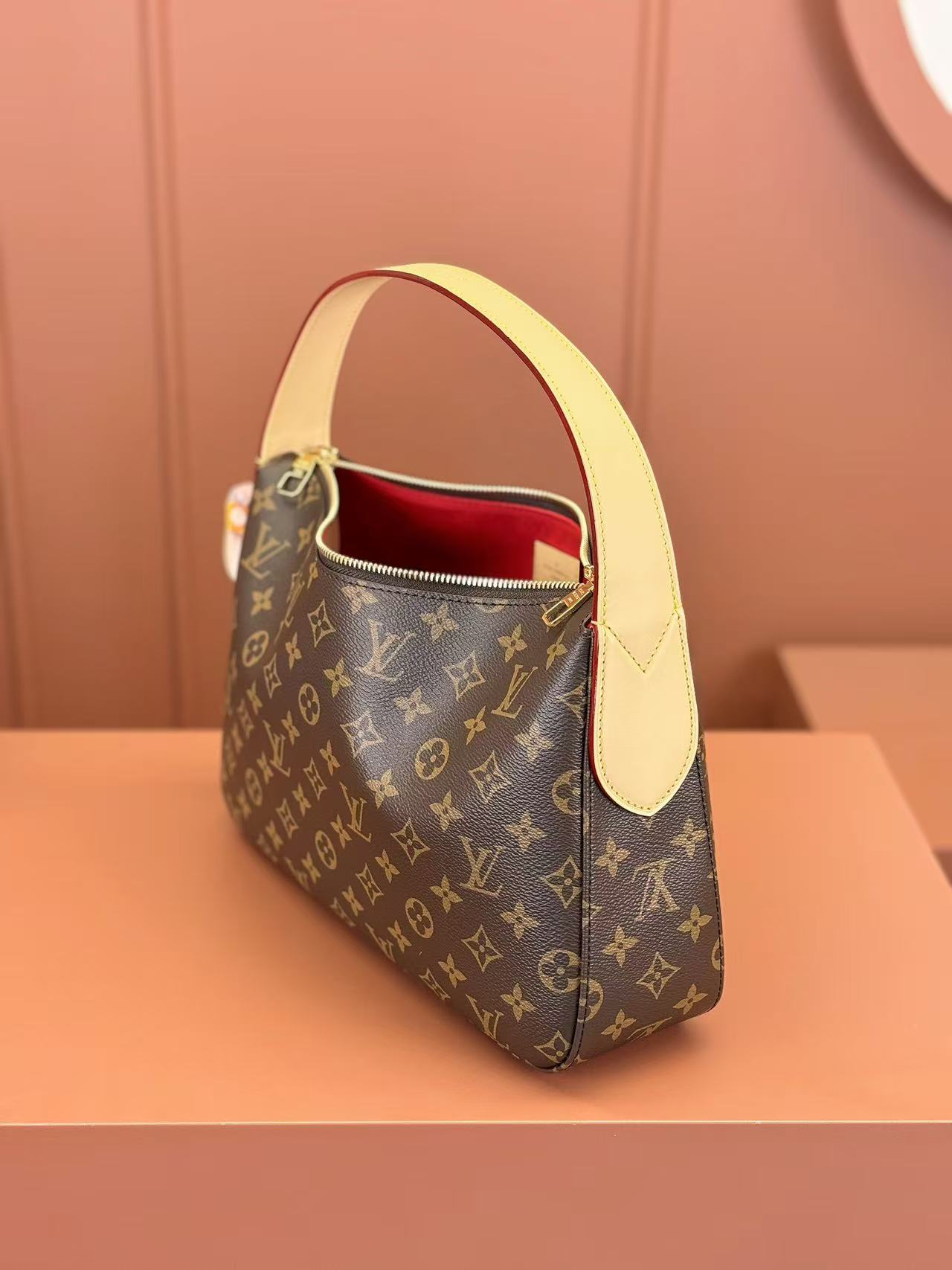 Louis Vuitton LV SLOUCHY handbag