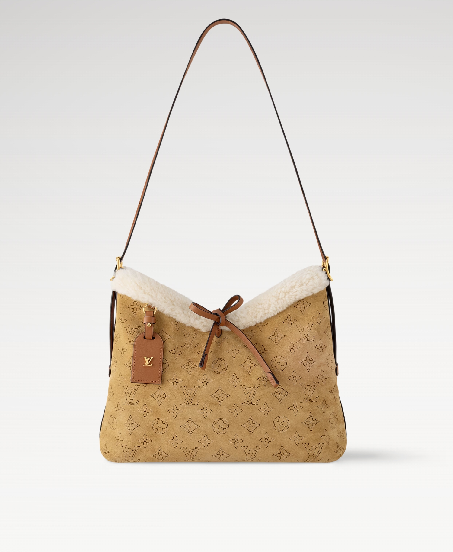 Louis Vuitton LV CarryAll PM