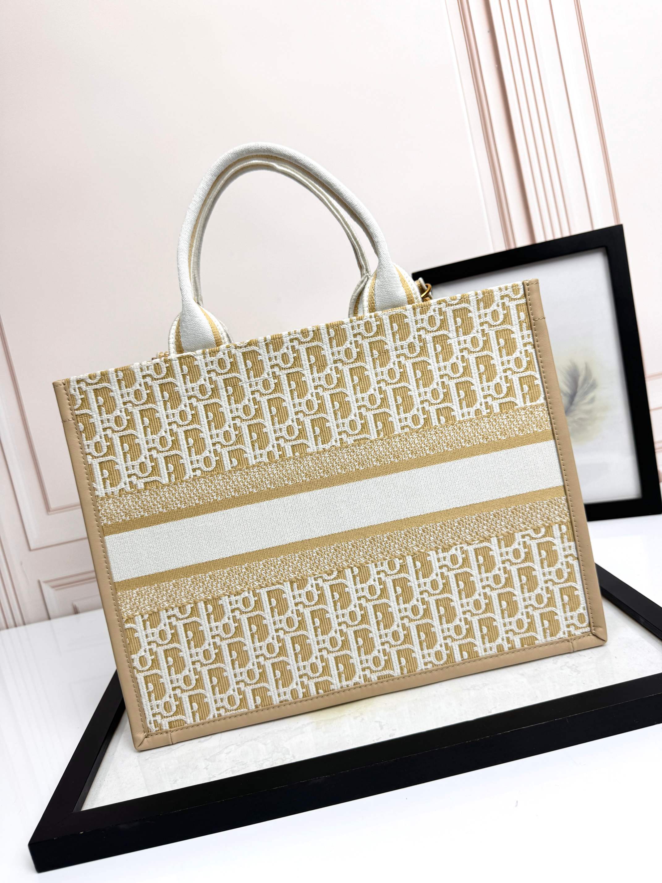 Dior Embroidered Canvas Medium  Book Tote with shoulder strap