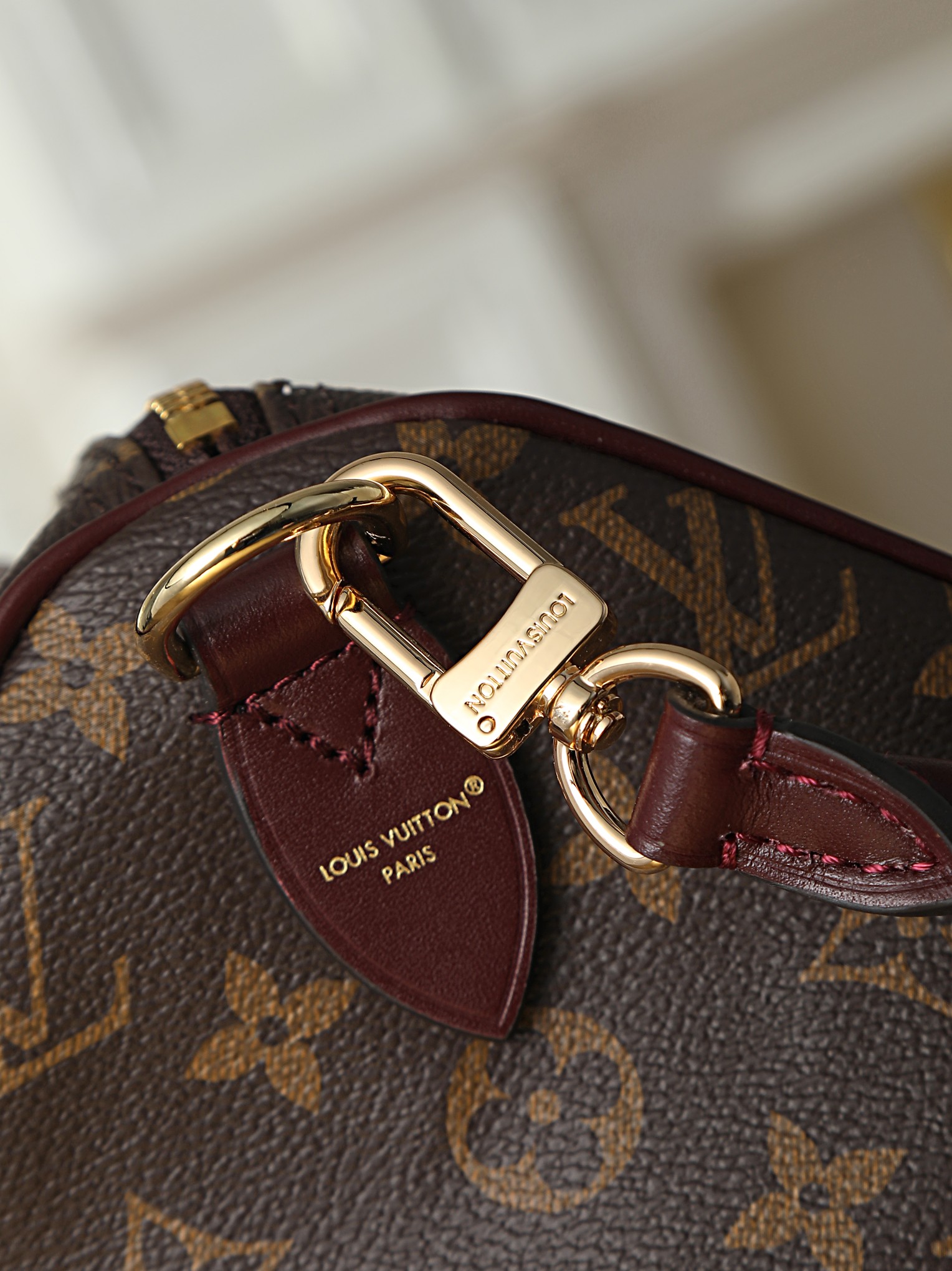 Louis Vuitton Monogram Anniversary Sedy Soft 30 Handbag