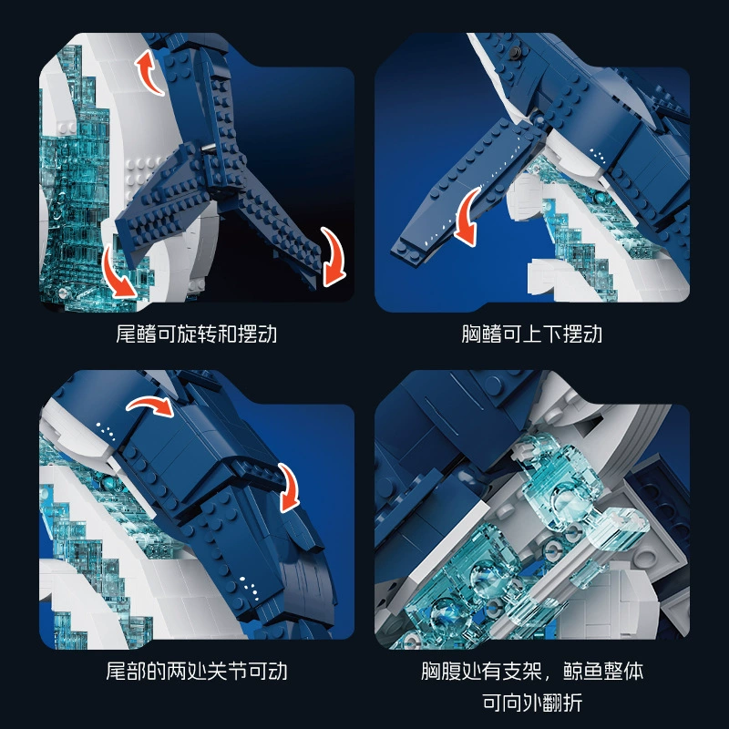 XBert 66197 - Blue Whale