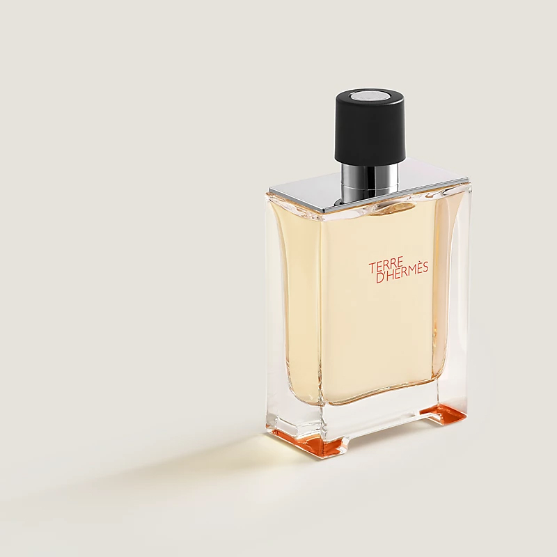 Hermès Terre d'Hermès Eau de Toilette for Men  100 ml / 3.4 oz – Luxury Woody Citrus Designer Cologne with Grapefruit, Cedar & Vetiver – Long Lasting Men's Fragrance