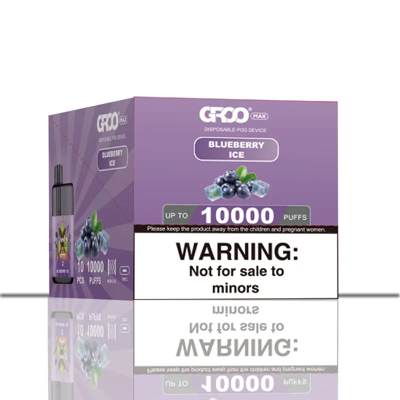GROO MAX 10K Rechargeable Disposable Vape – Blueberry Ice - Vaba Vape-Shop