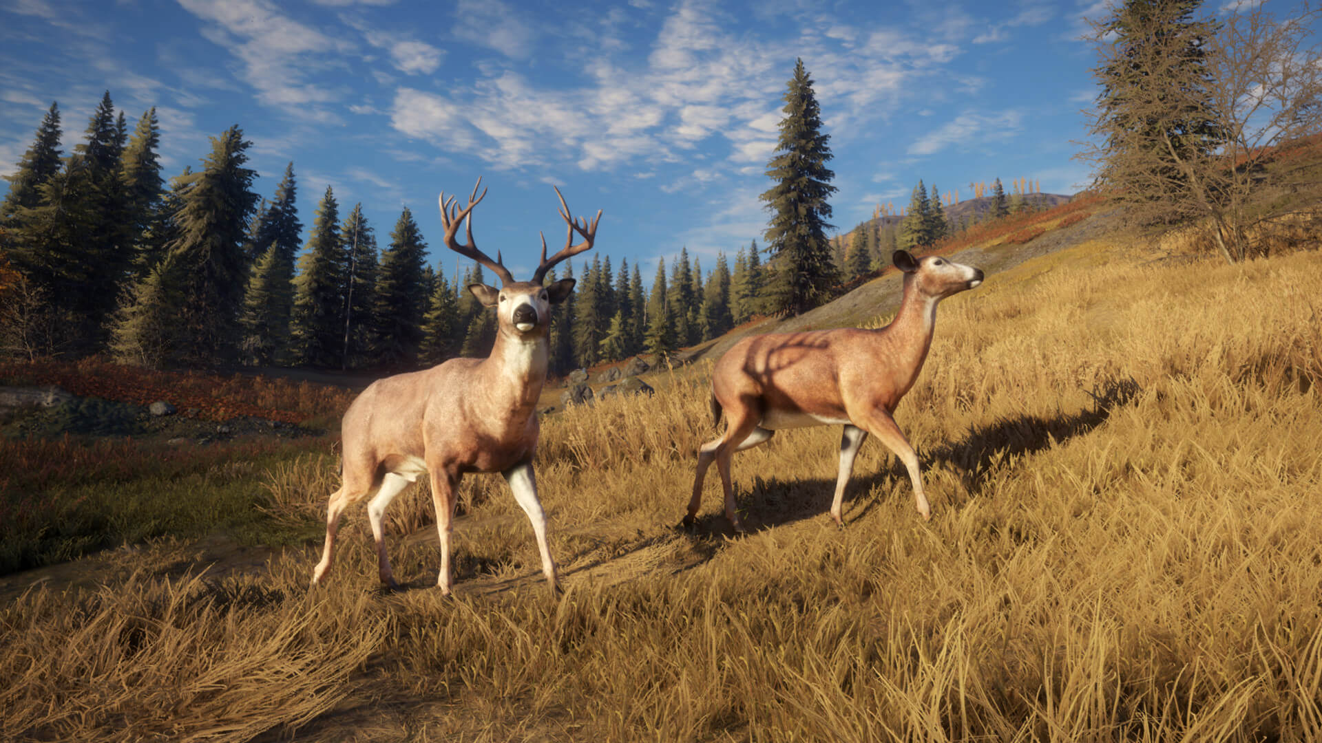 theHunter: Call of the Wild PC Steam Account