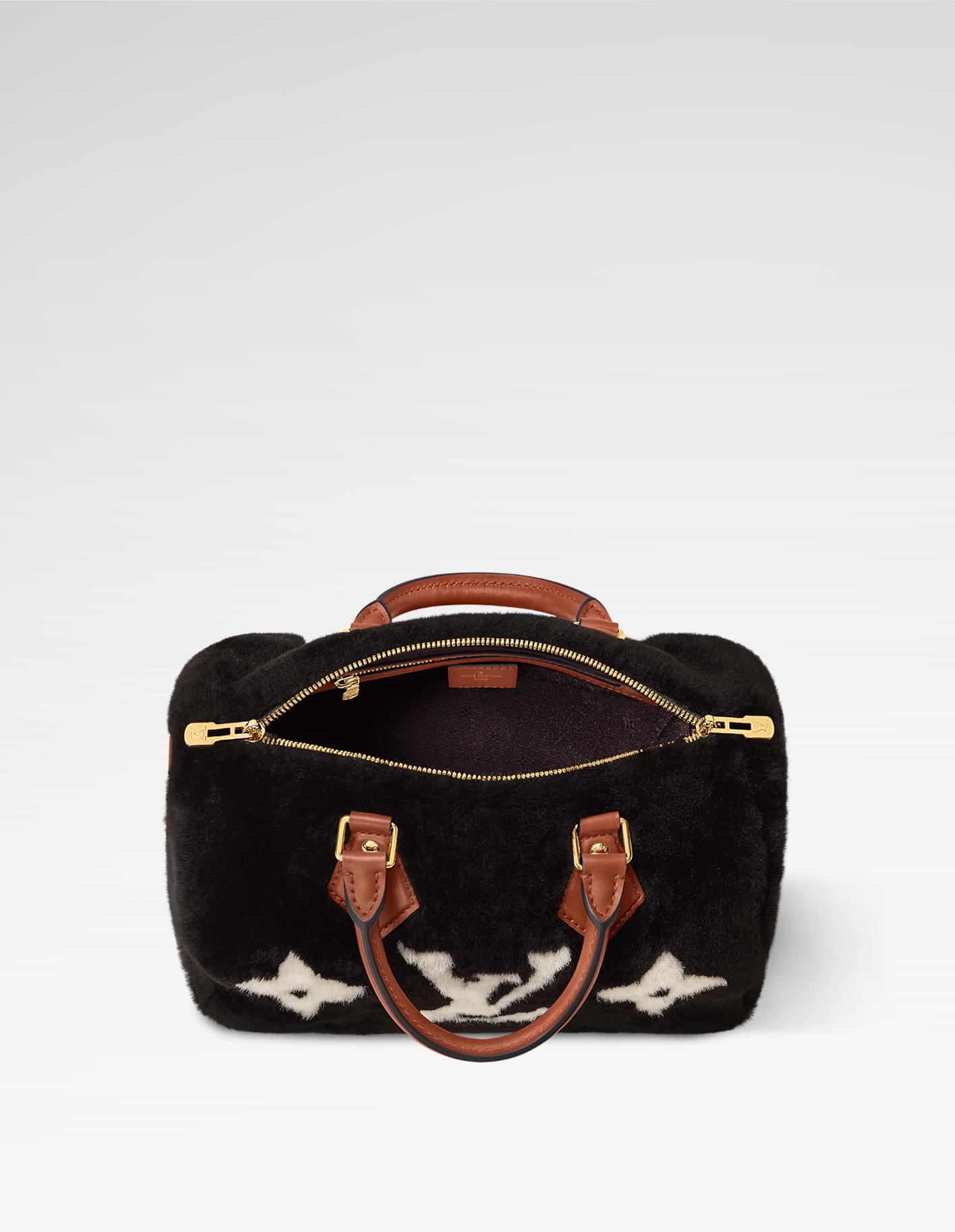 Louis Vuitton LV Speedy Bandoulière 25