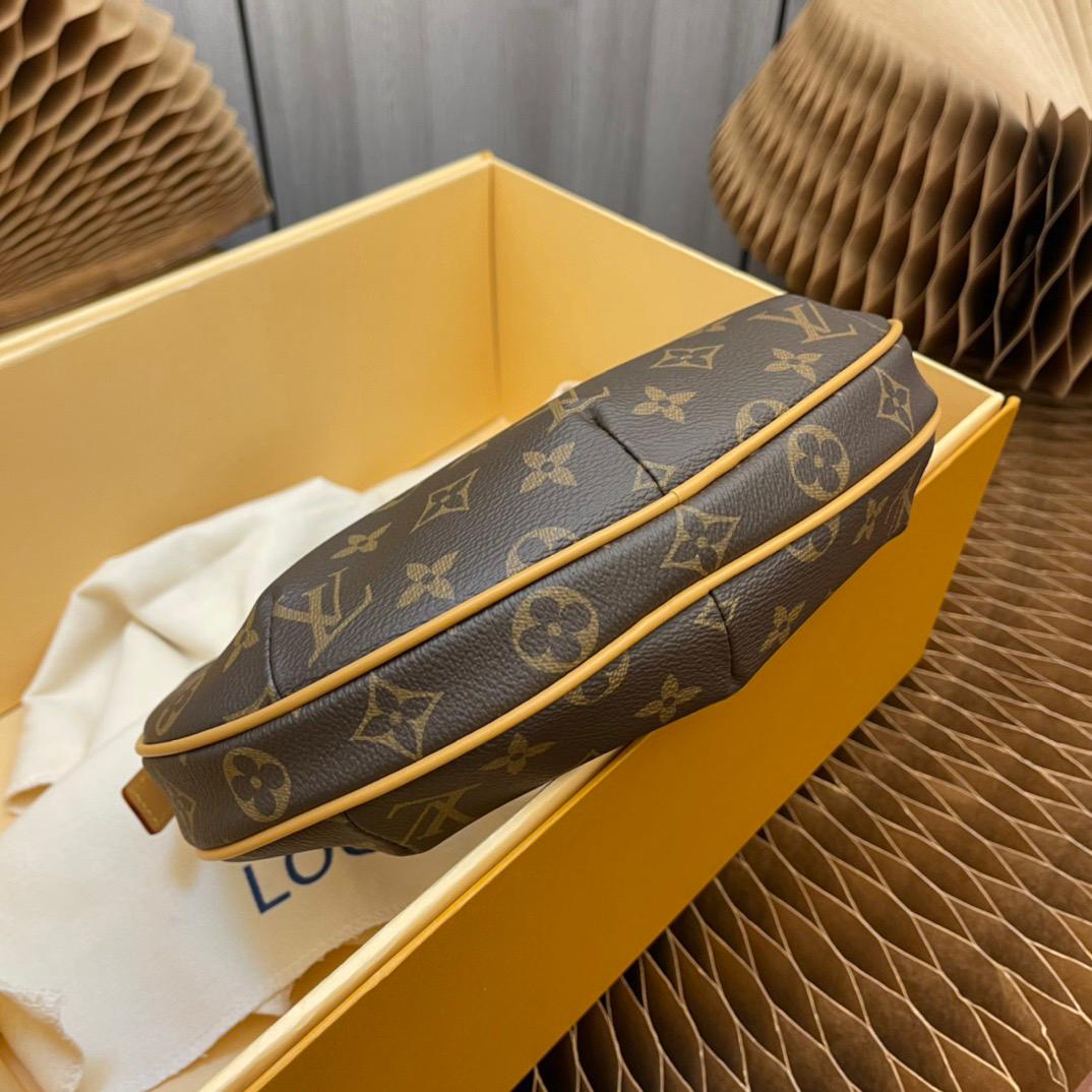 Louis Vuitton LV Classic printed pea bag