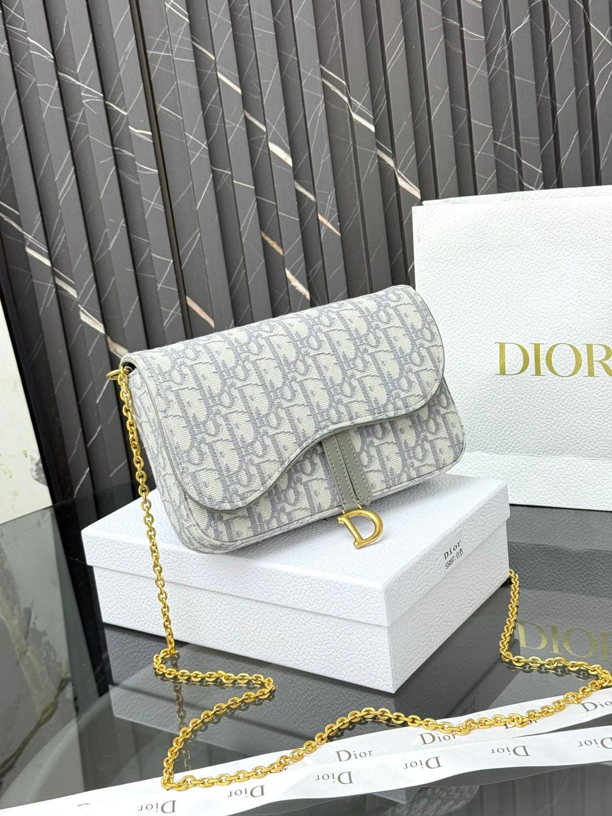 DIOR saddle chain crossbody bag