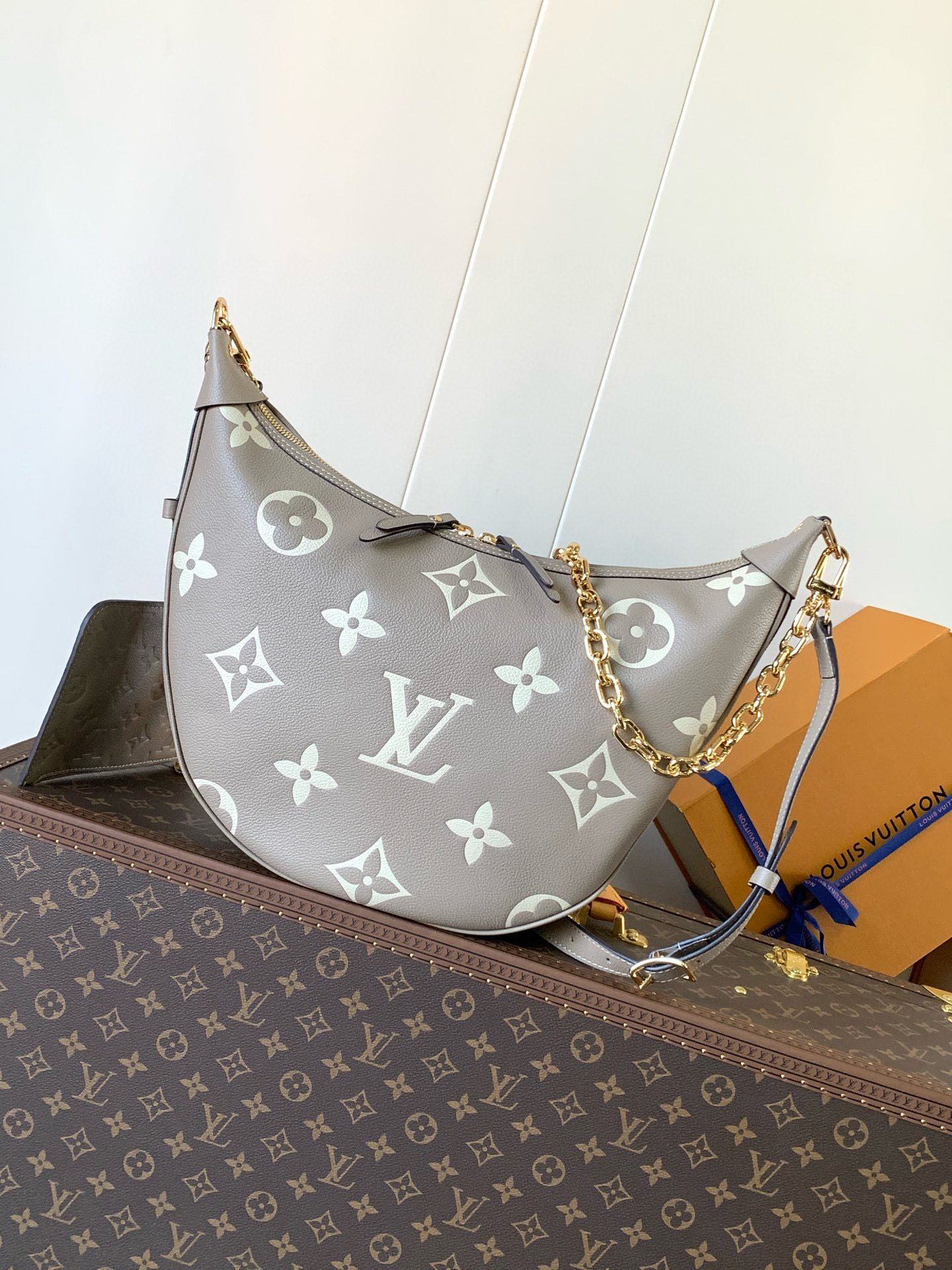 M46738 LV Loop Hobo Bag