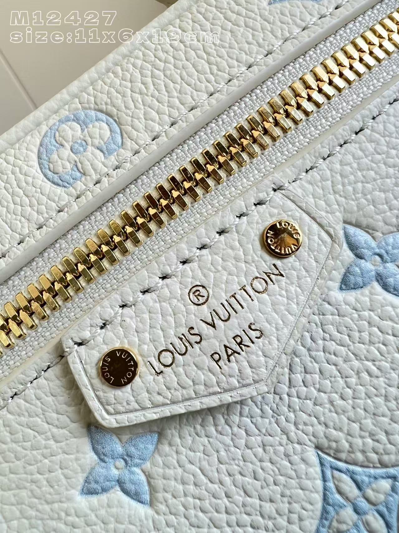 Louis Vuitton Vanity Chain Pouch handbag