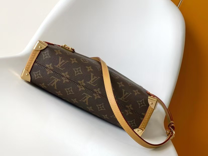 Louis Vuitton LV side trunk large handbag