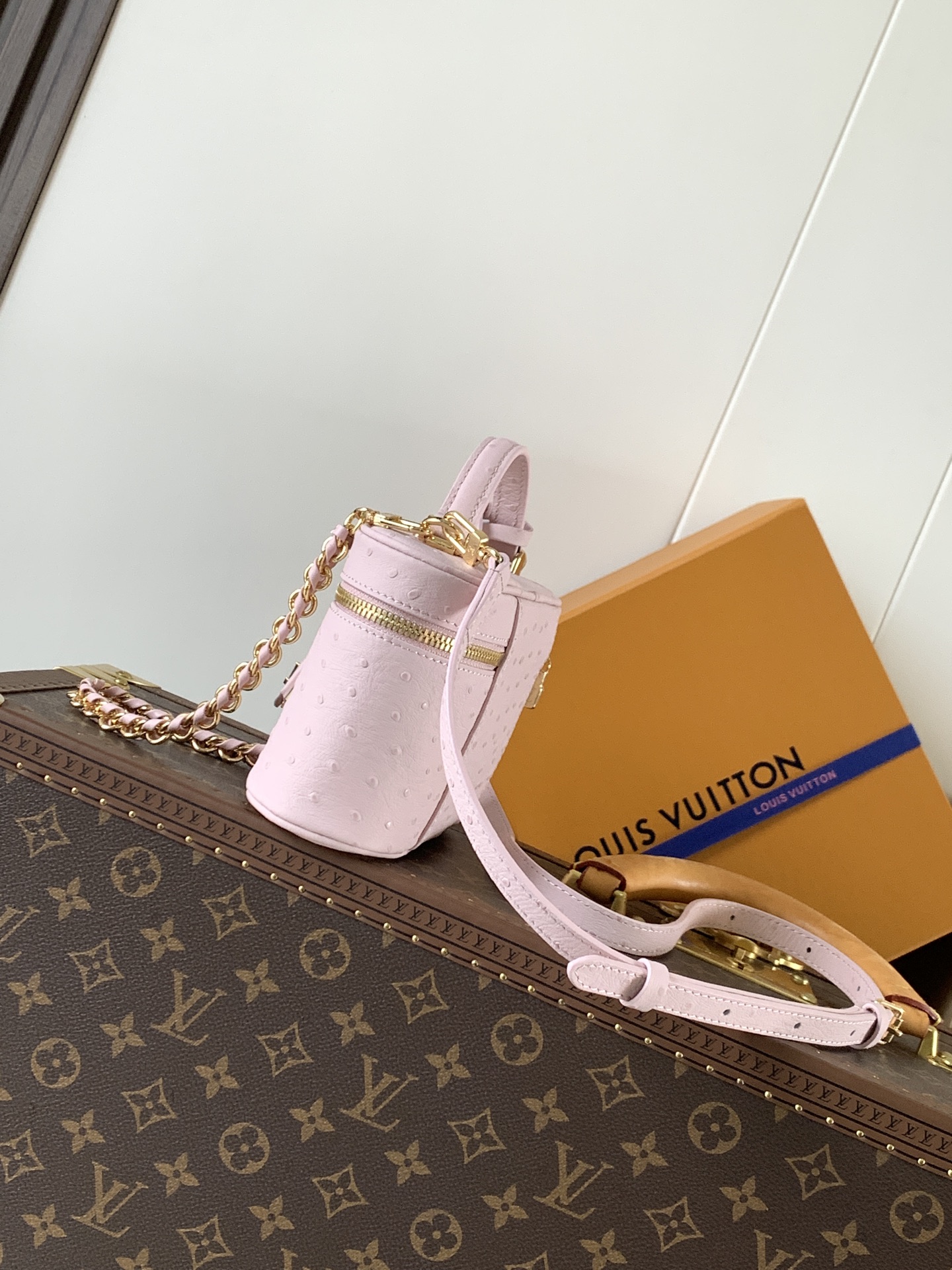 Louis Vuitton ostrich patterned Vanity Chain Pouch handbag