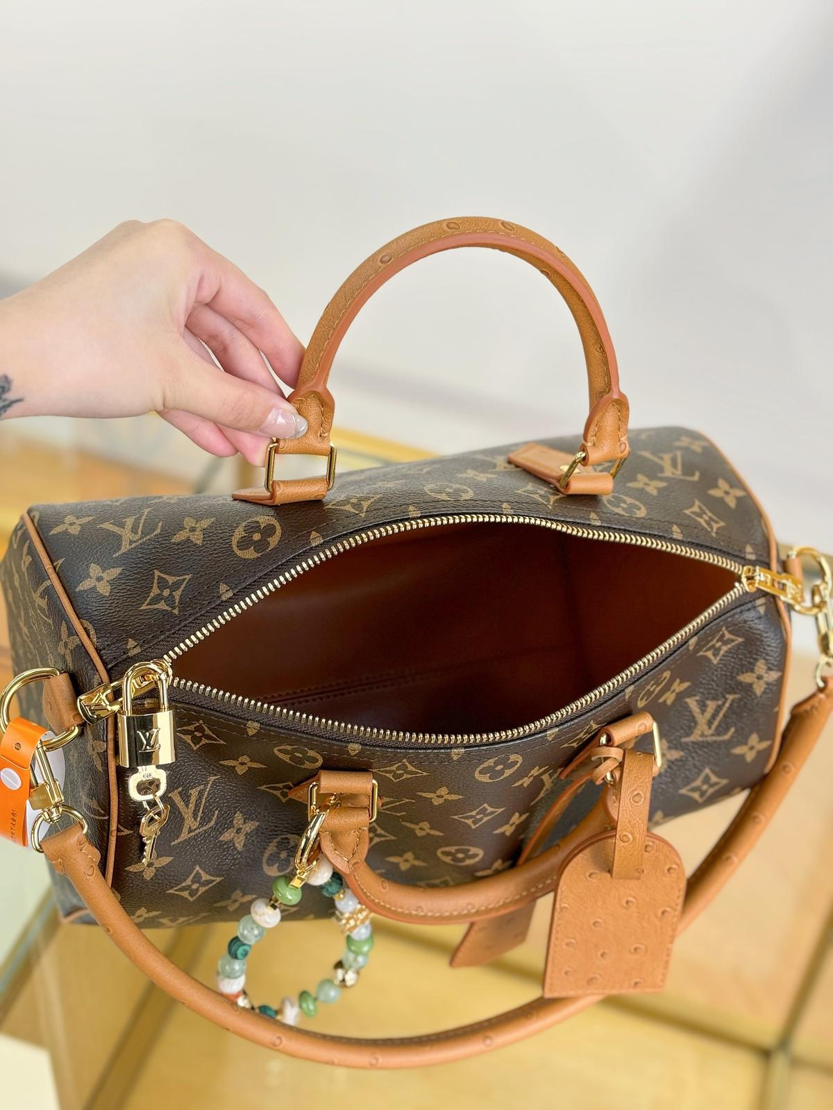 Louis Vuitton Bags SPEEDY SOFT 30 BOHO handbag