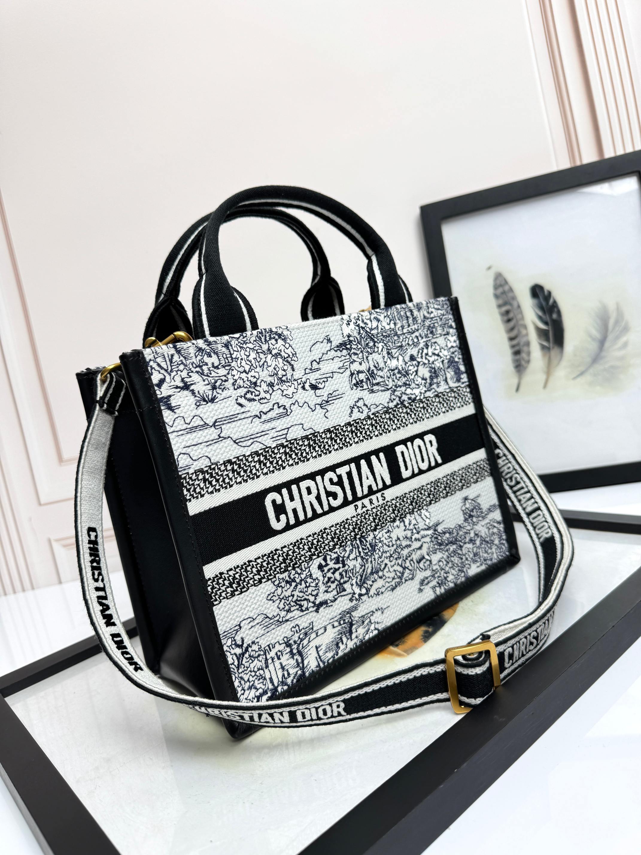 Dior Embroidered Canvas Small  Book Tote with shoulder strap
