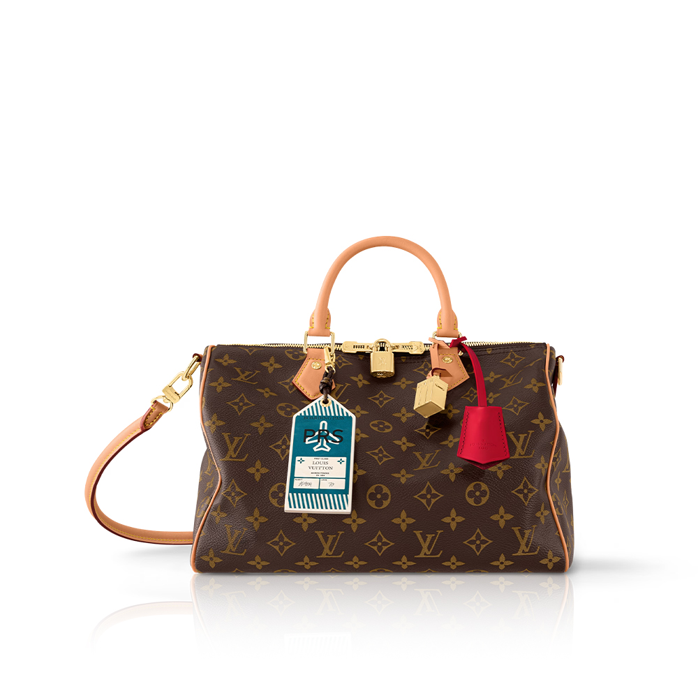 Louis Vuitton Bags Speedy Soft 30 Crafty in Canvas with Gold-tone