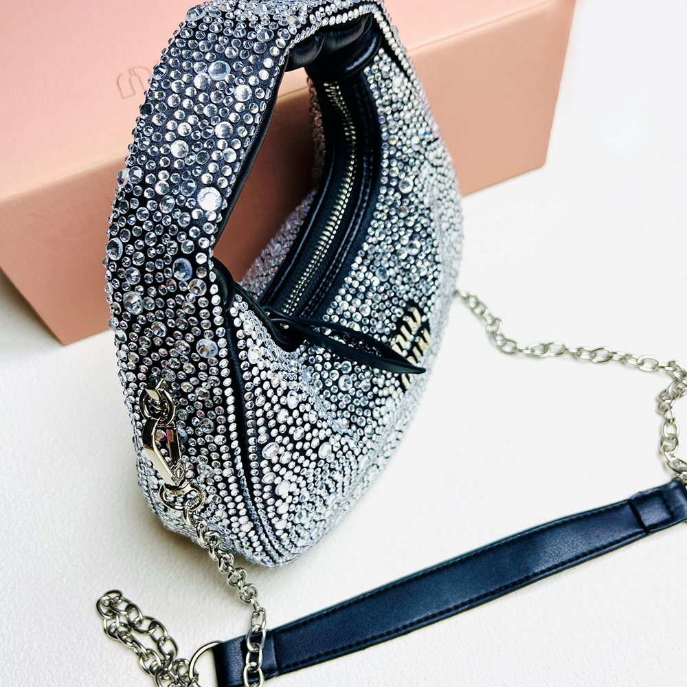 Miu Miu Wander handbag