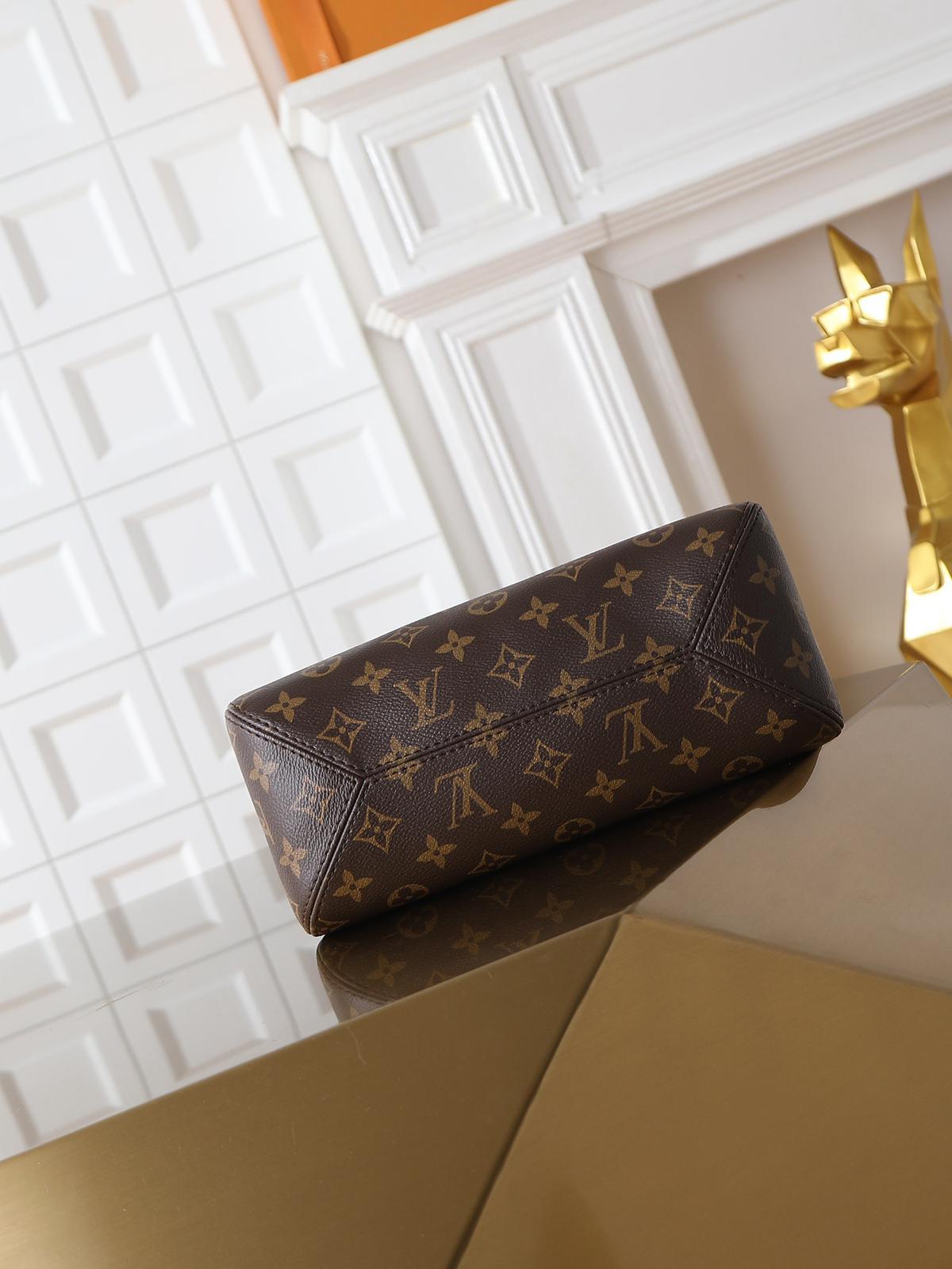 Louis Vuitton LV classic printed tote bag