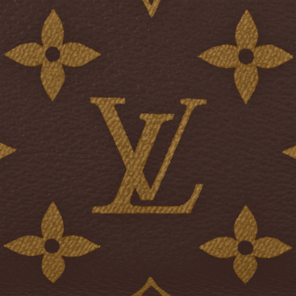 Speedy Bandoulière 20 Monogram Canvas M46234