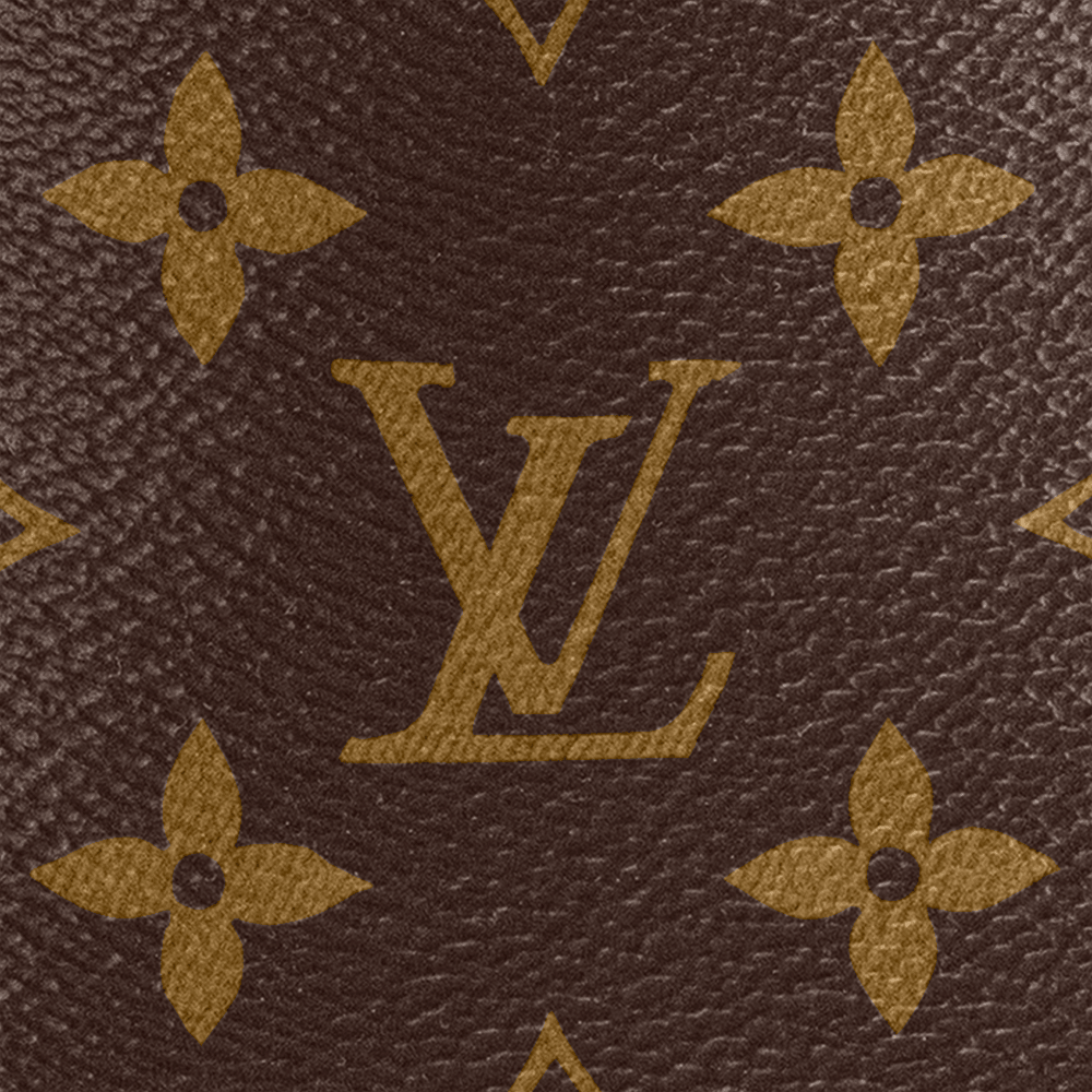Félicie Strap & Go Monogram Canvas M80091