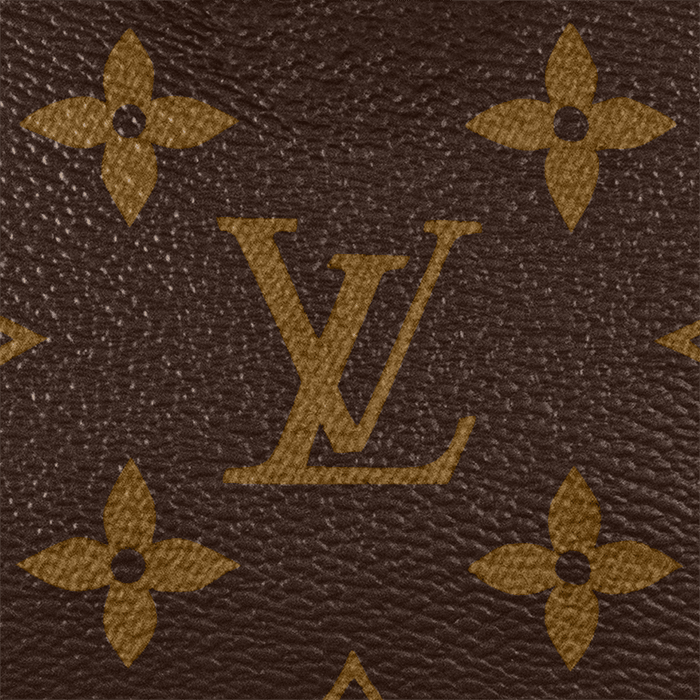 Nano Speedy Monogram Canvas M81085