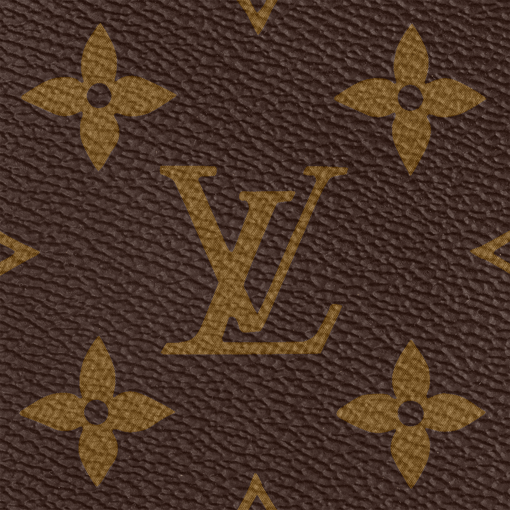 Multi Pochette Accessoires Monogram Canvas M44813
