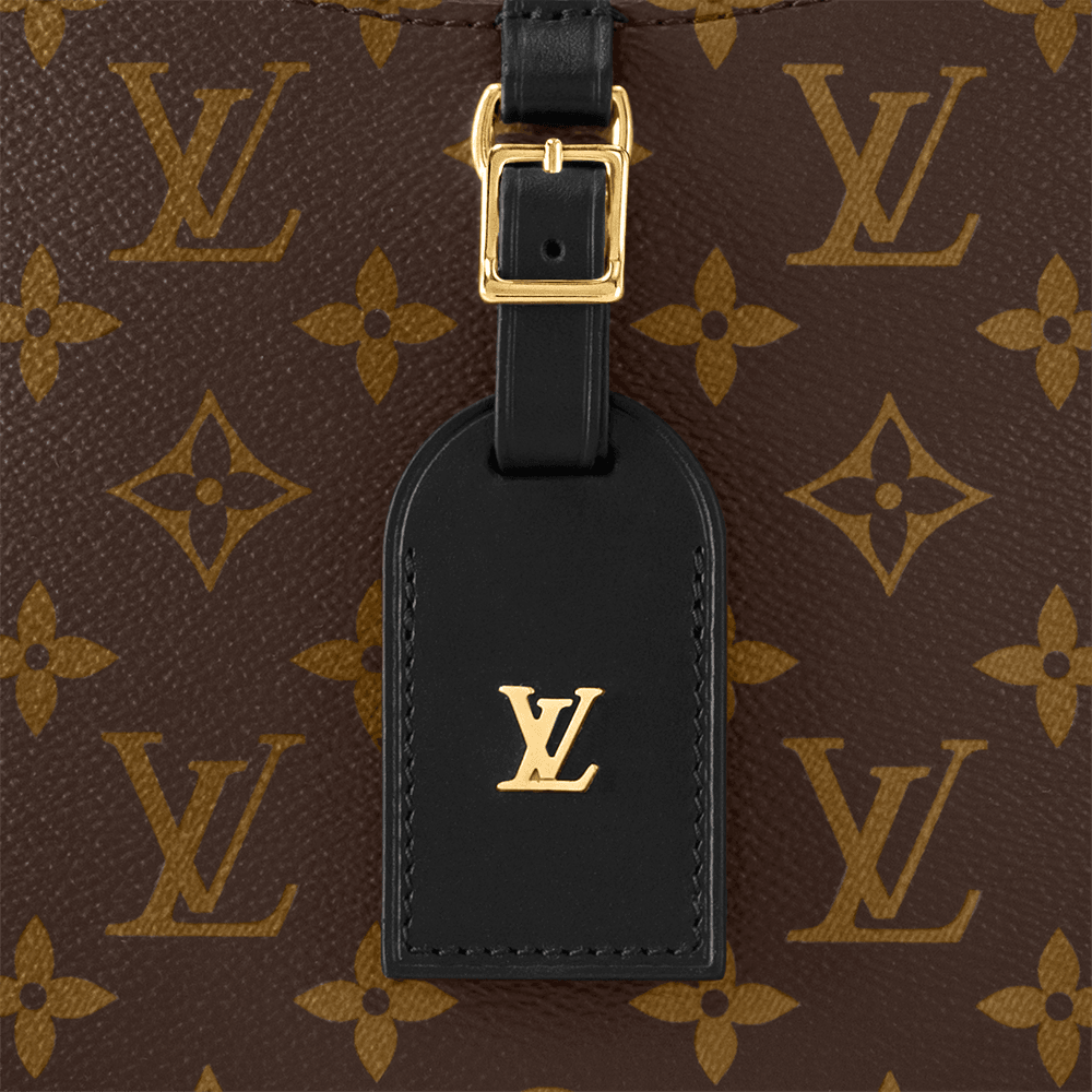Odéon MM Monogram Canvas M45352