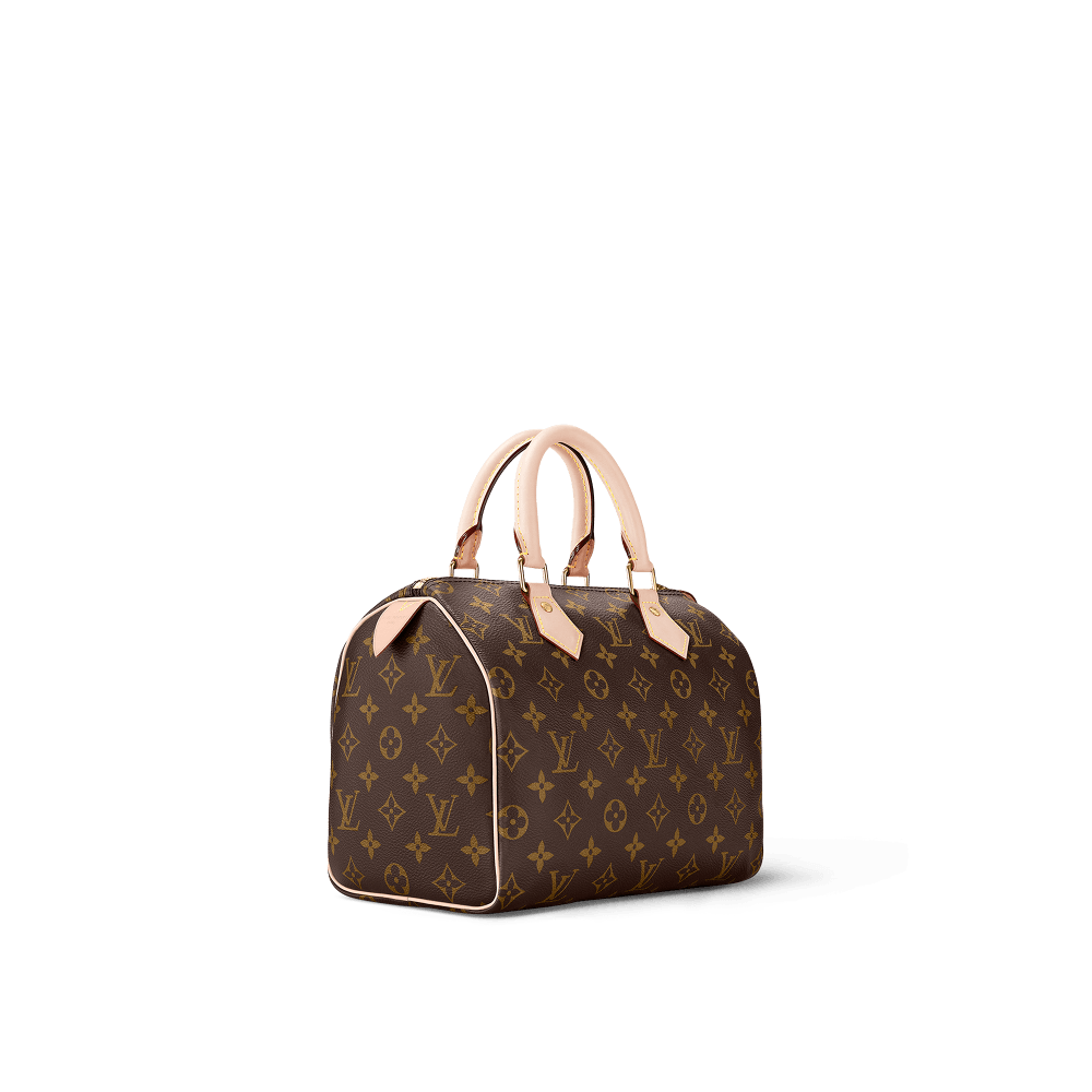 Speedy 25 Monogram Canvas M41109