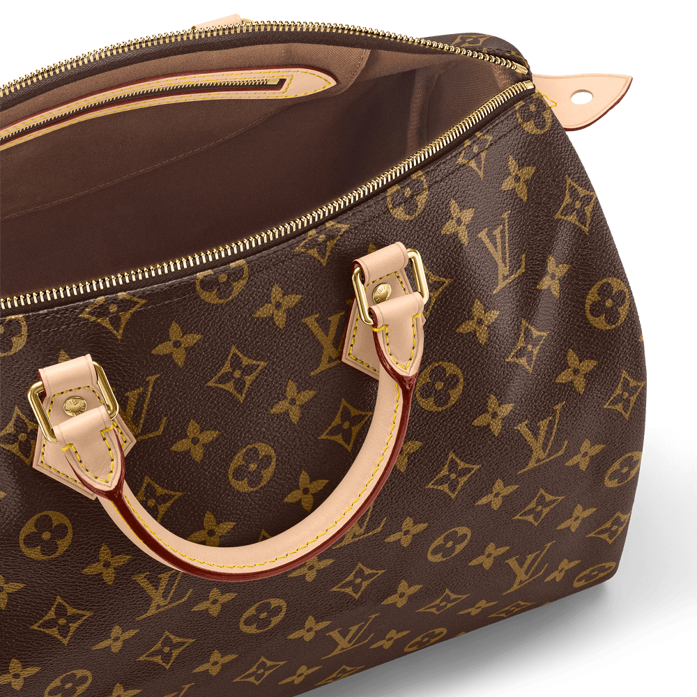 Speedy 35 Monogram Canvas M41111